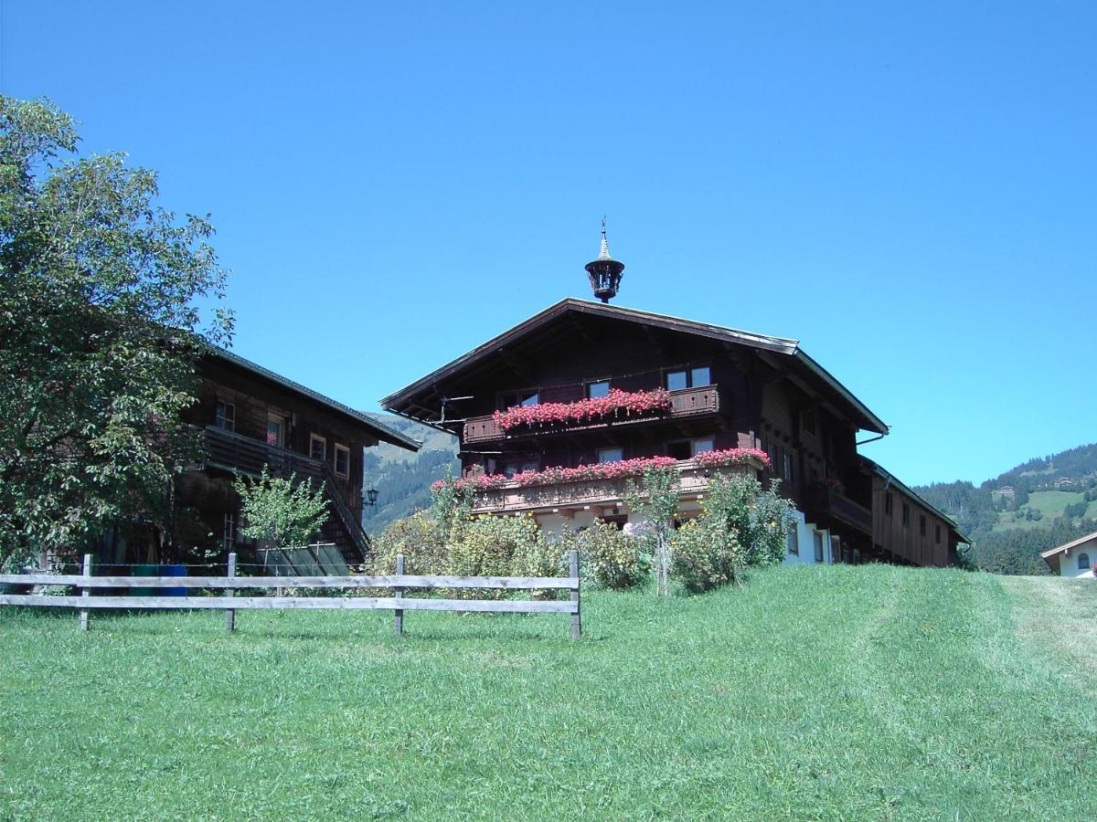 Mitterhaidgut