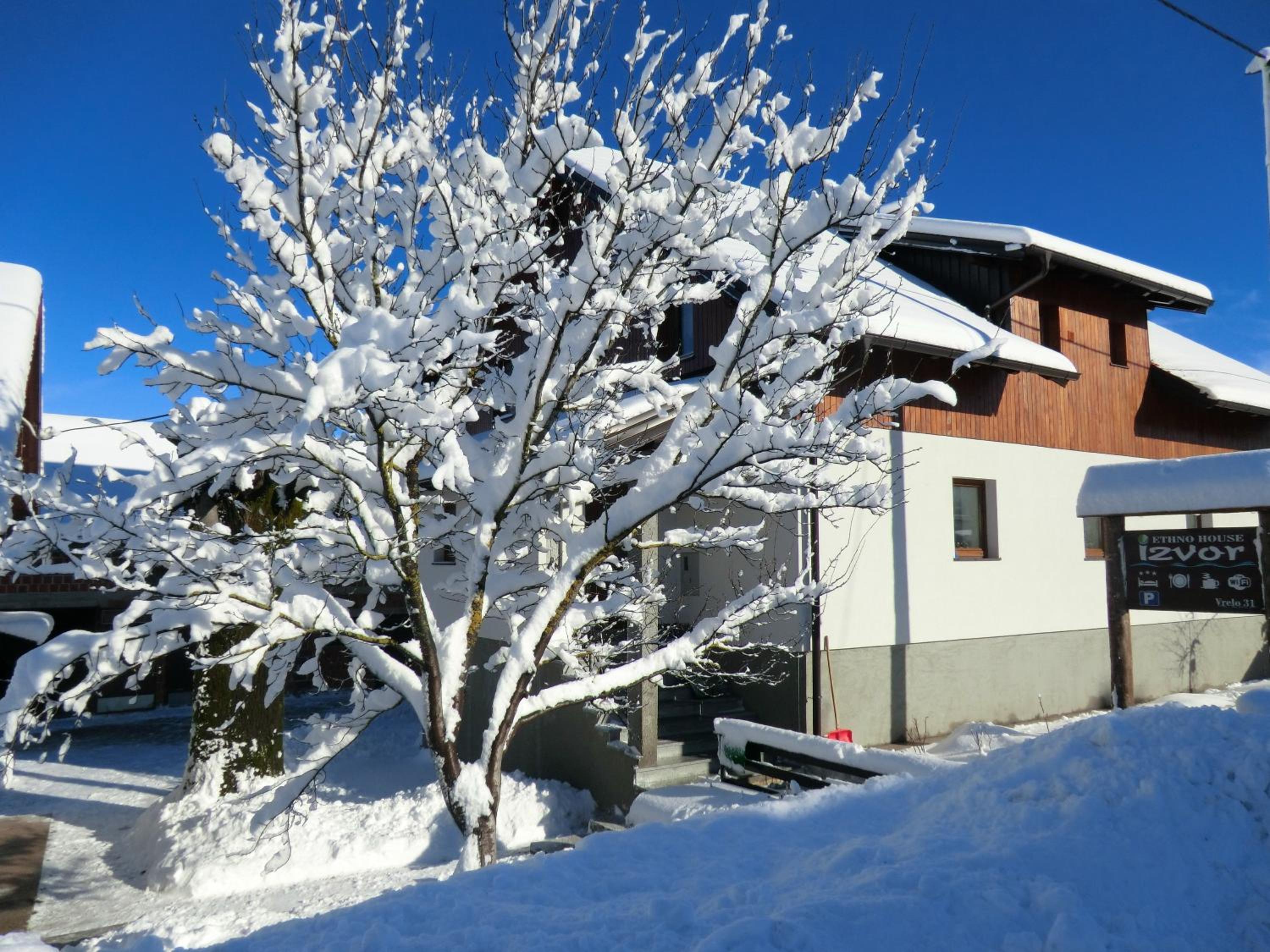 Photo 11