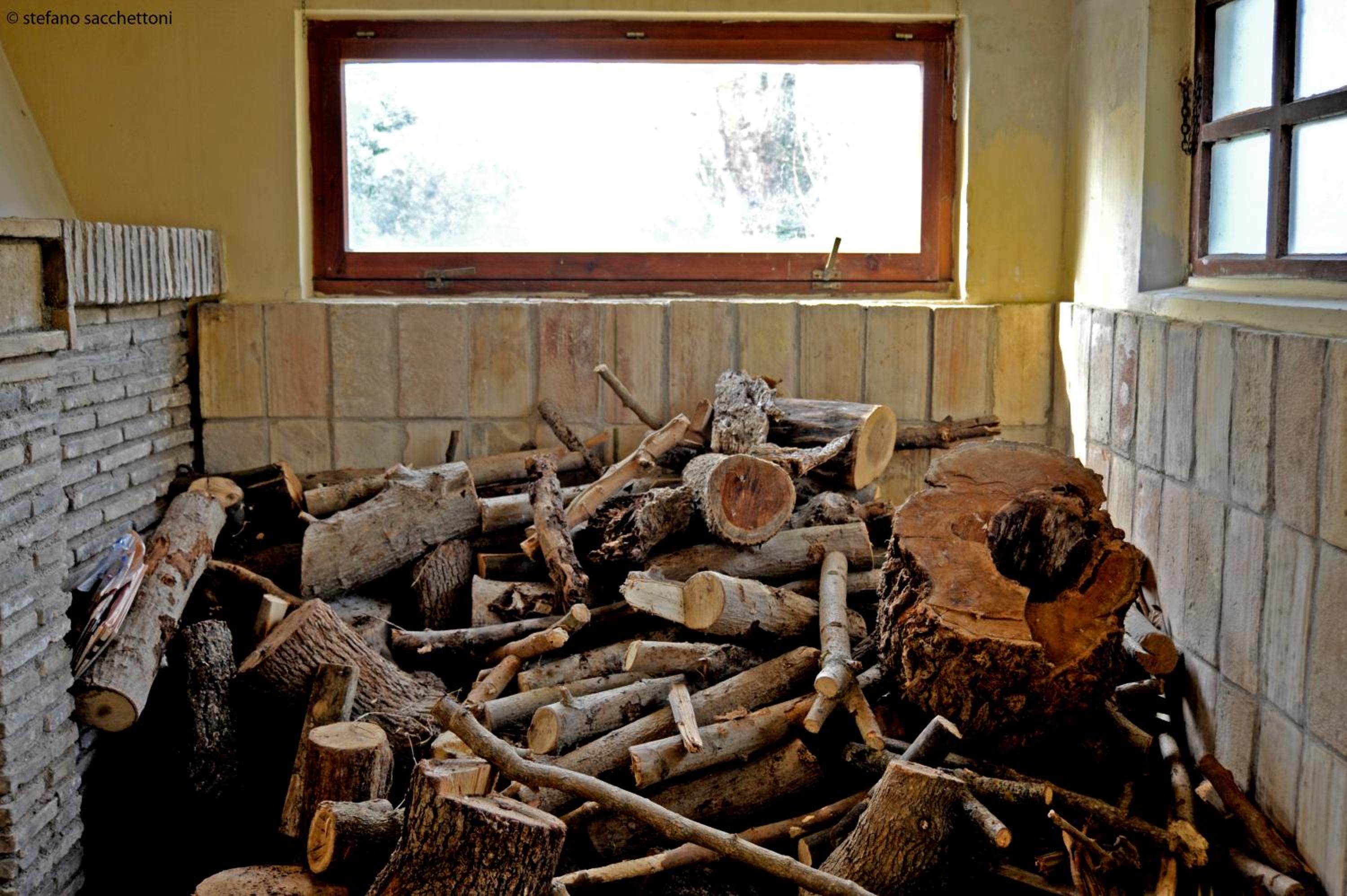 Photo 44