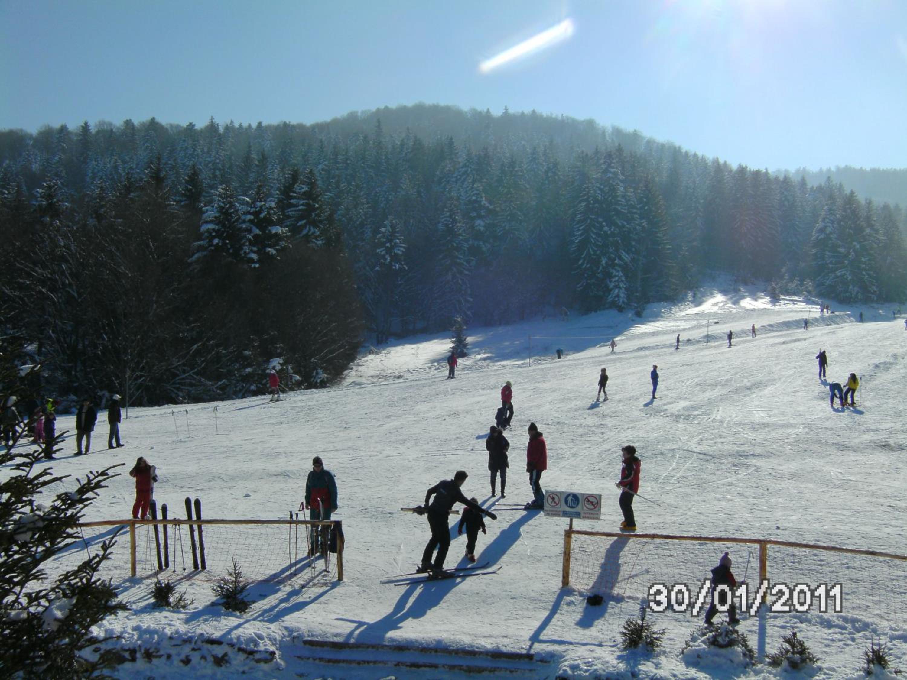Photo 41