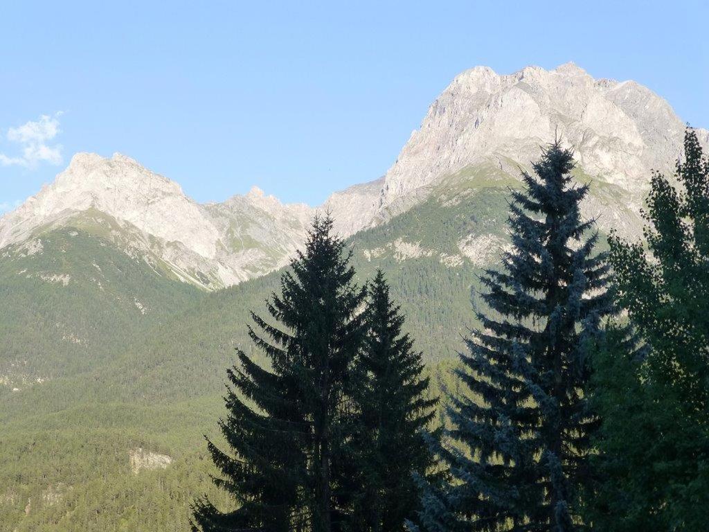 Photo 46