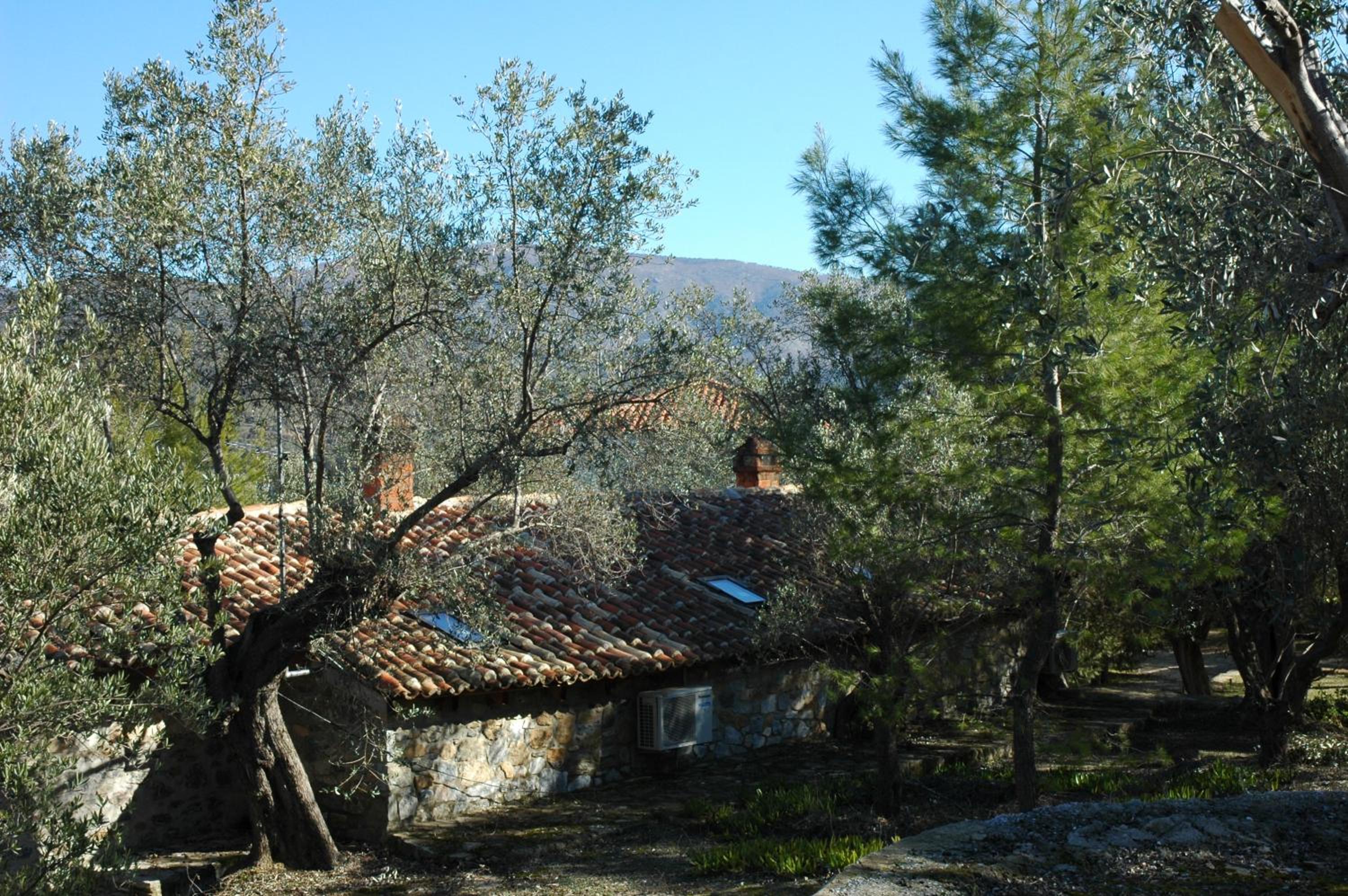 Photo 40