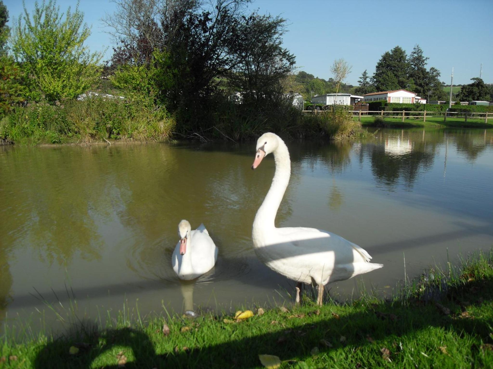 Camping Le Marqueval
