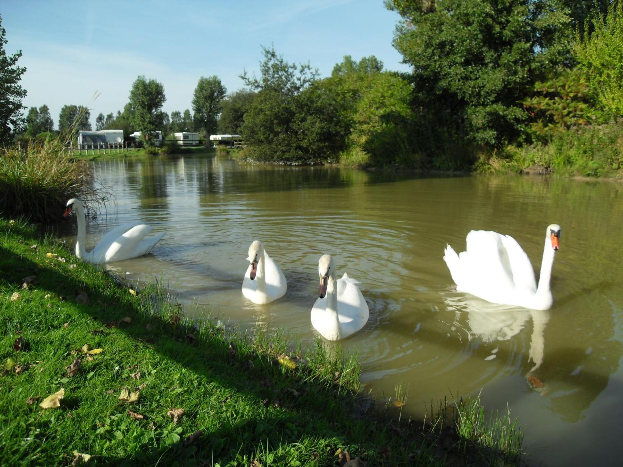 Camping Le Marqueval