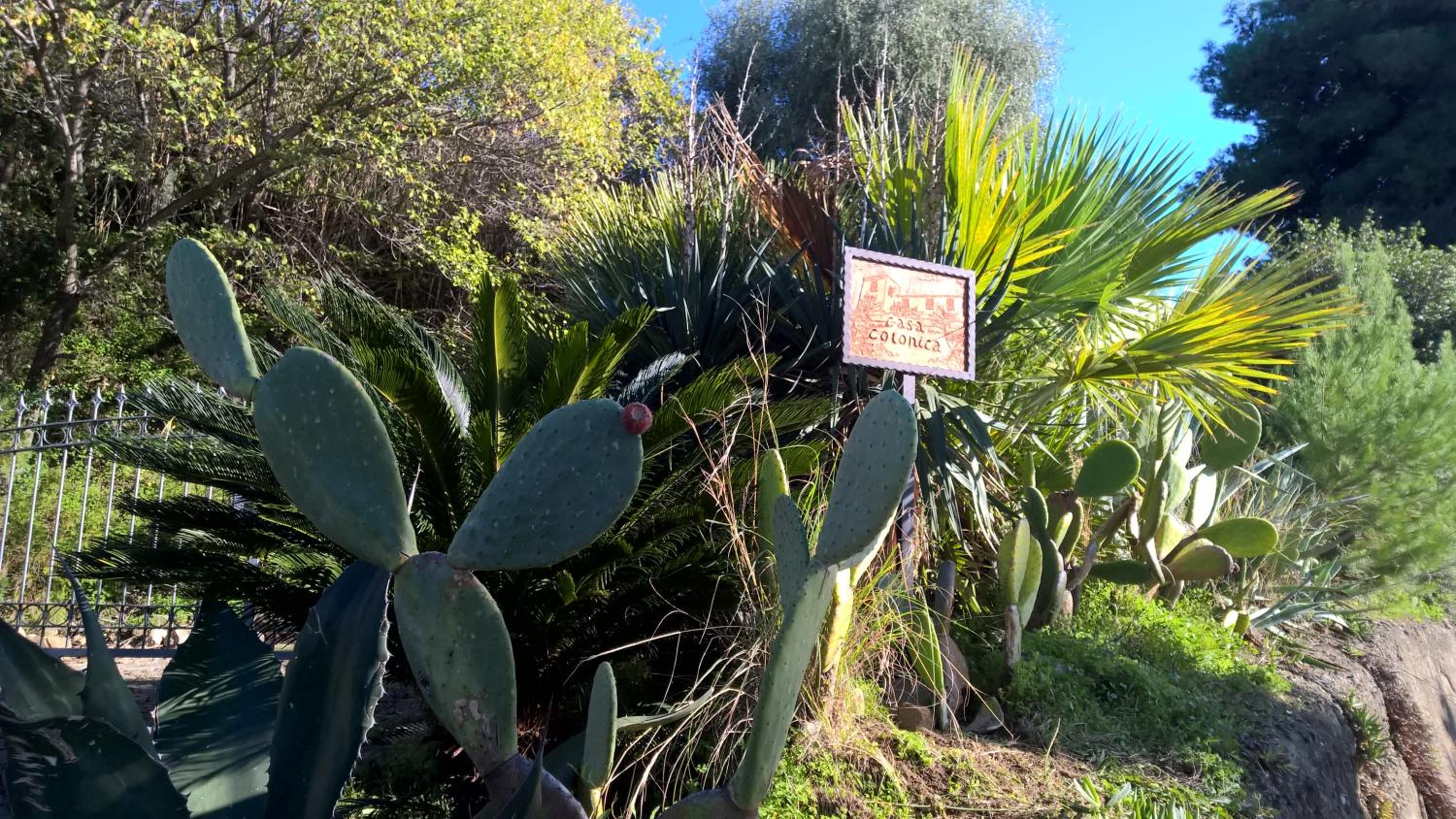 Casa Colonica view 3