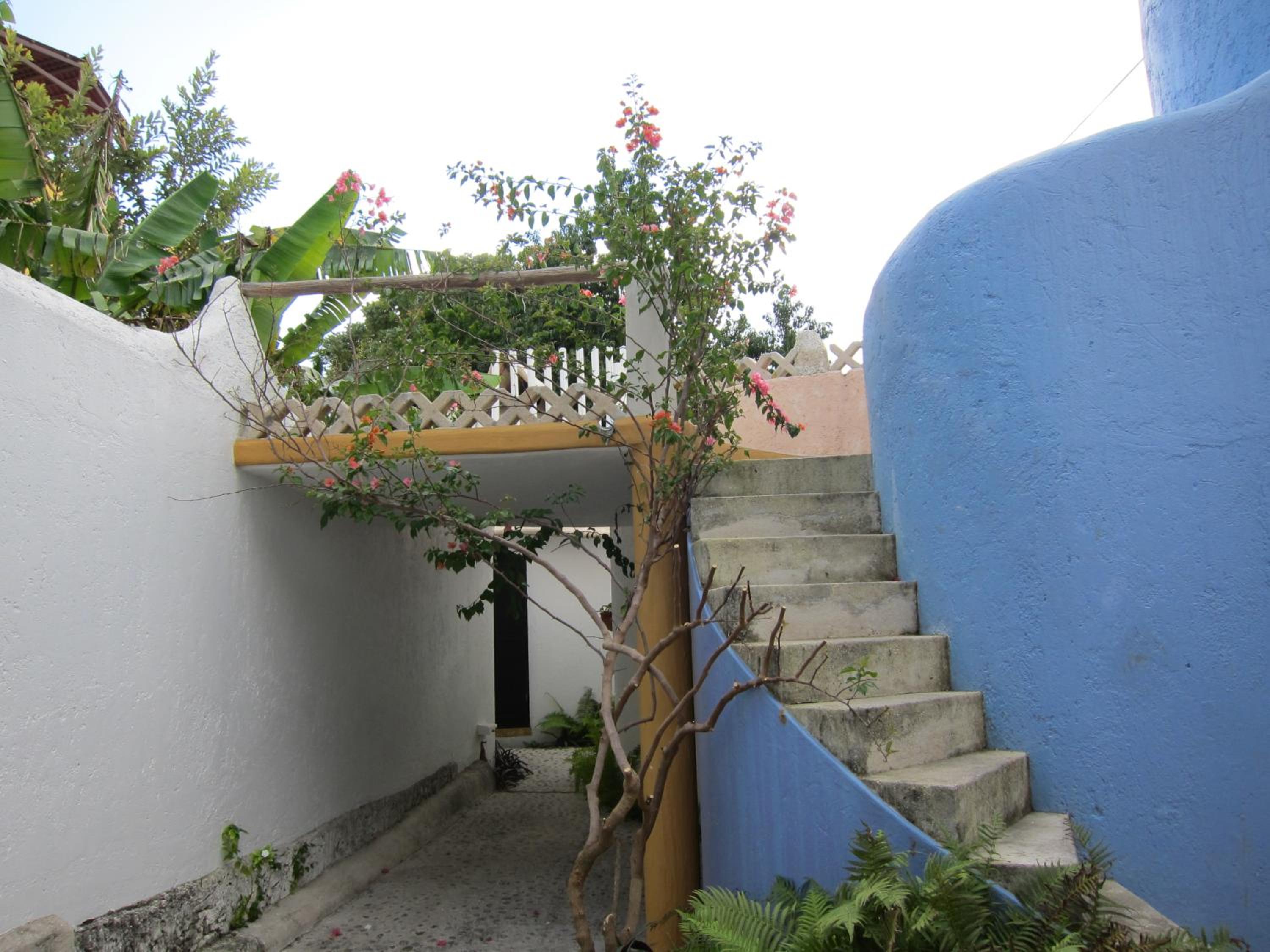 Photo 24
