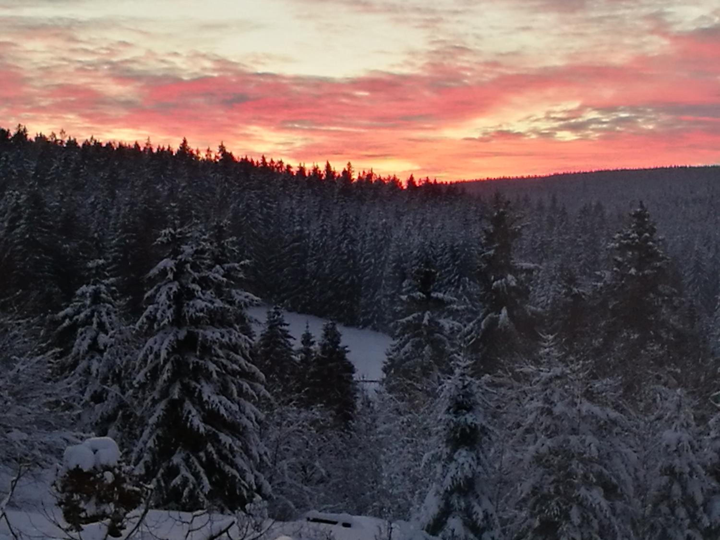 Ferienwohnungen Auf dem Glockenberg view 2