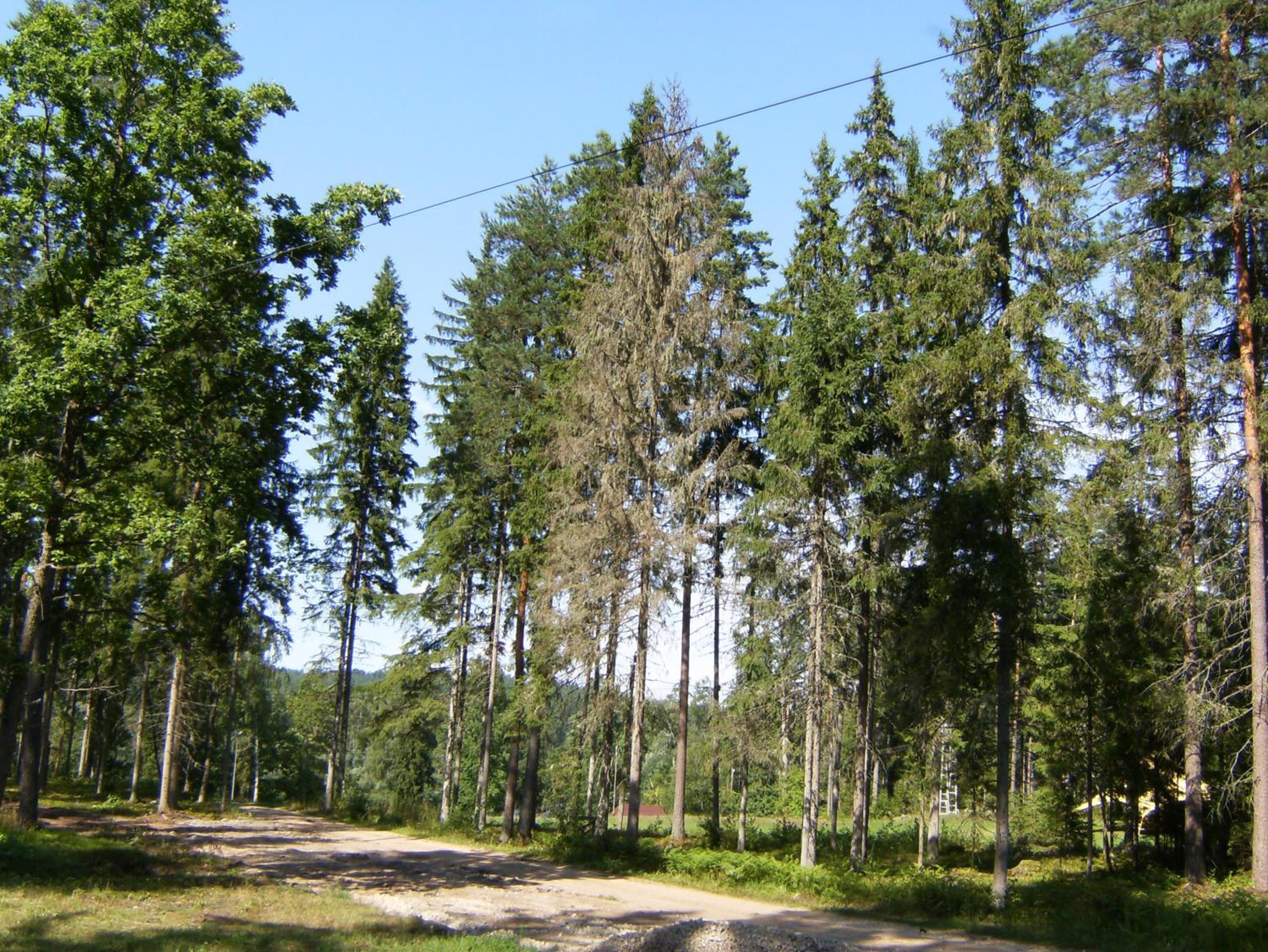 Photo 22