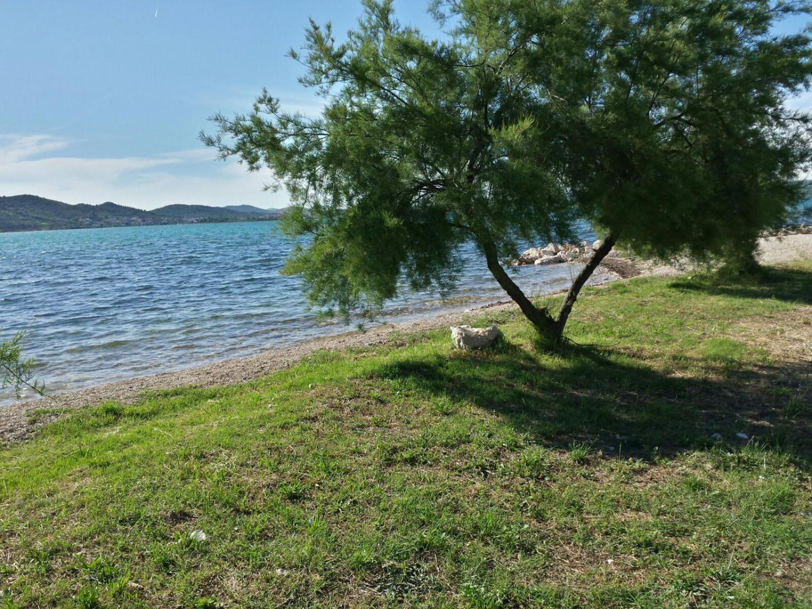 Photo 117