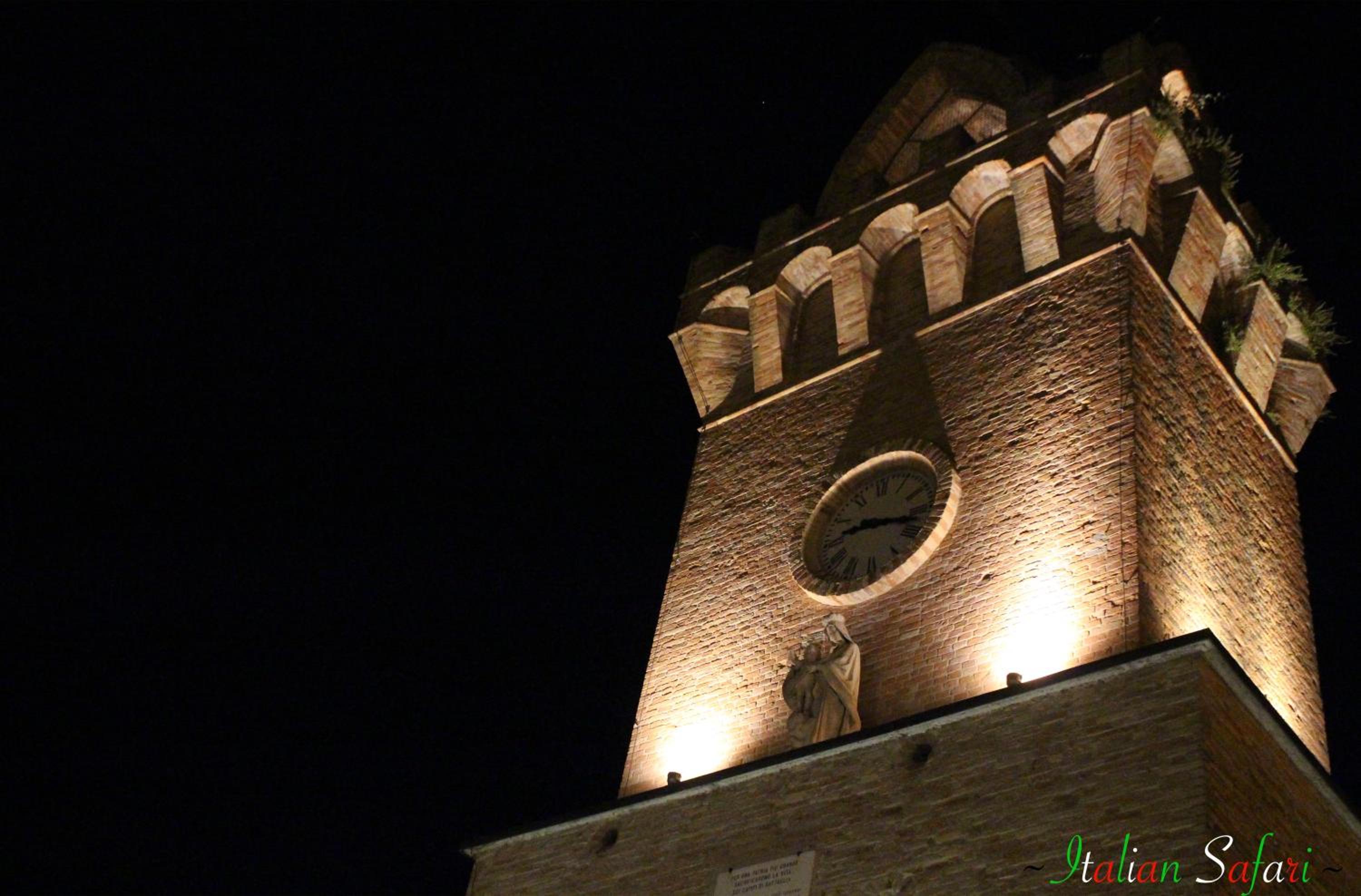 Photo 51