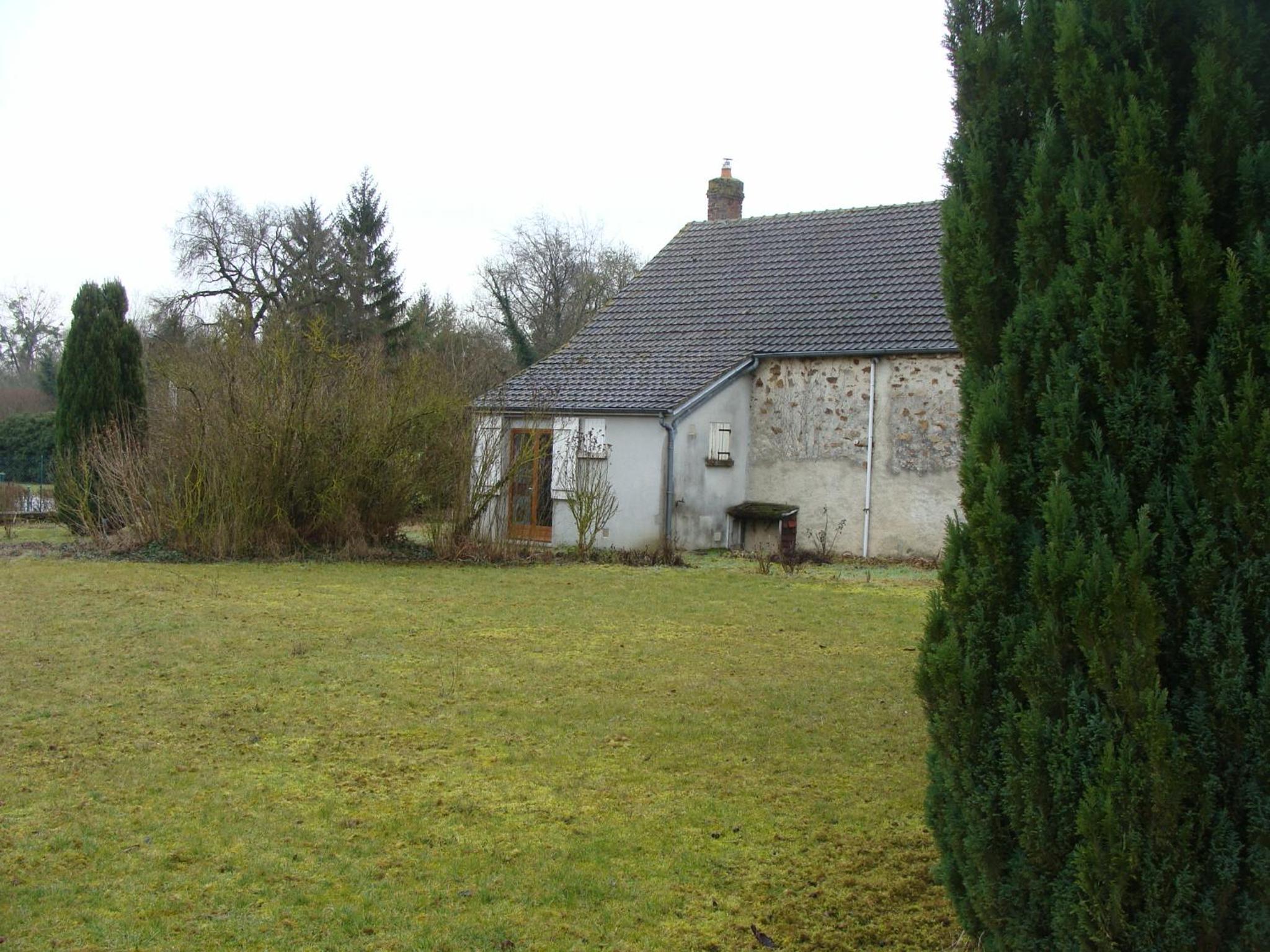 Photo 11