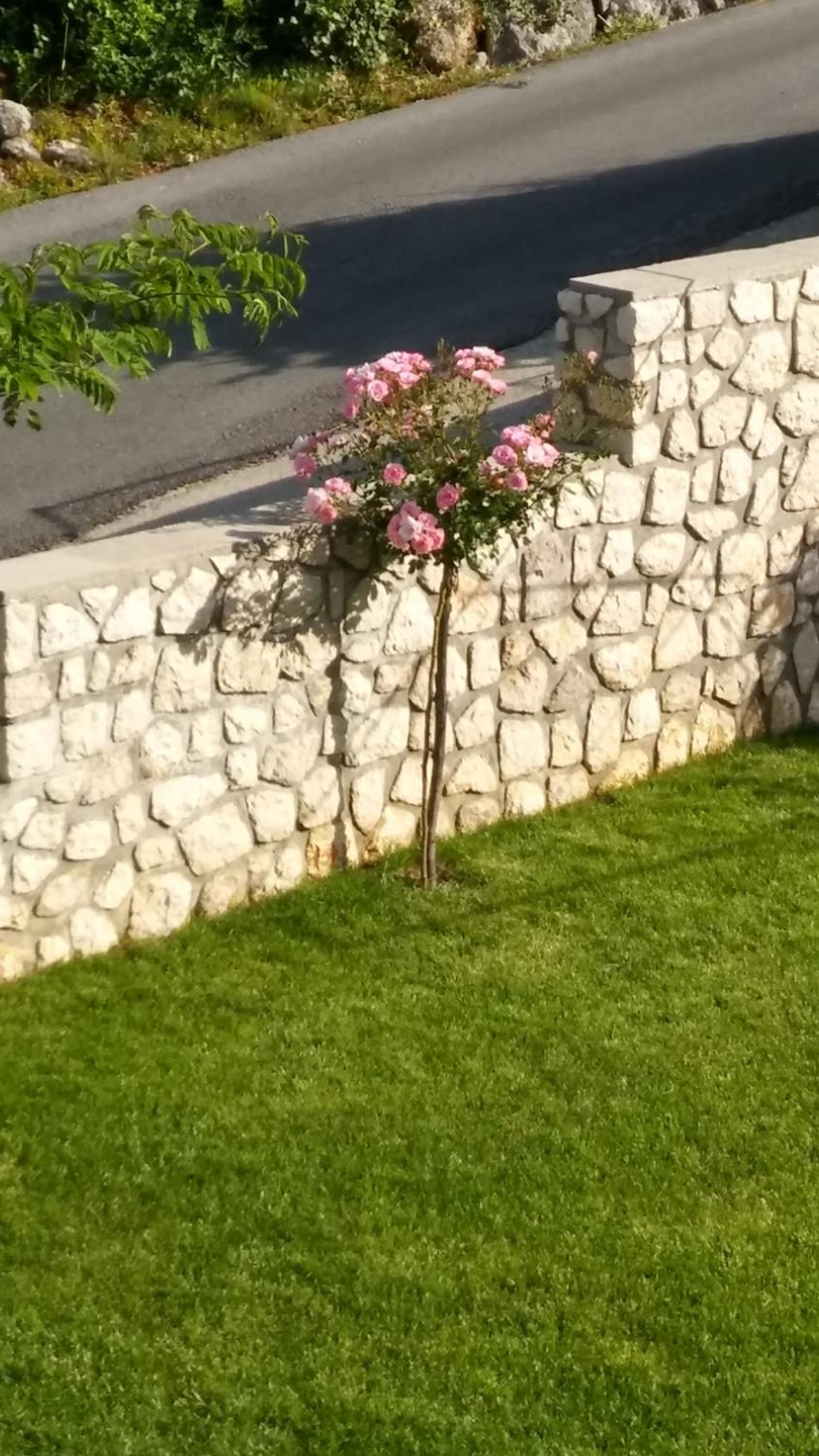 Apartman "Anna"