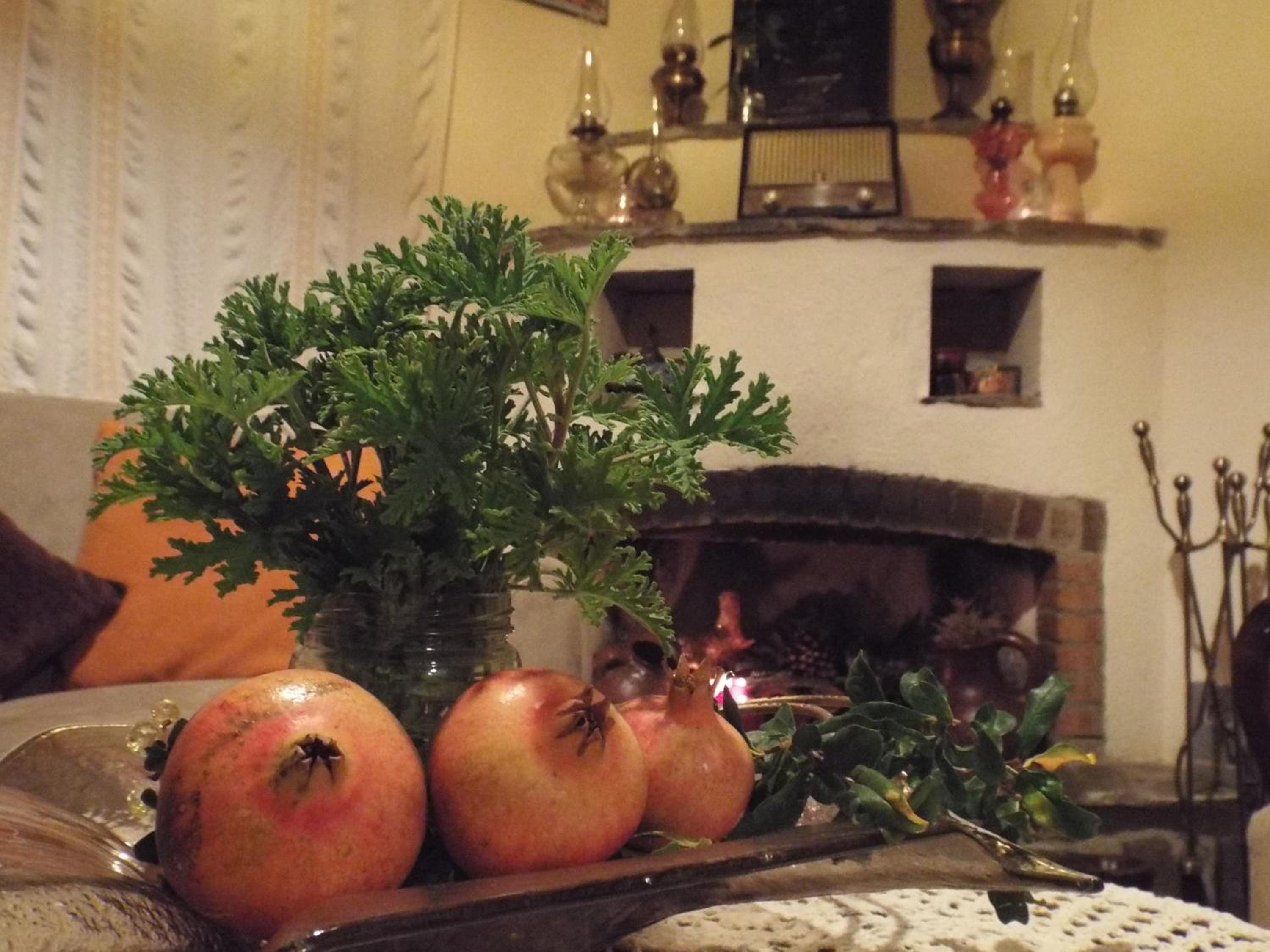 The Pomegranate's House