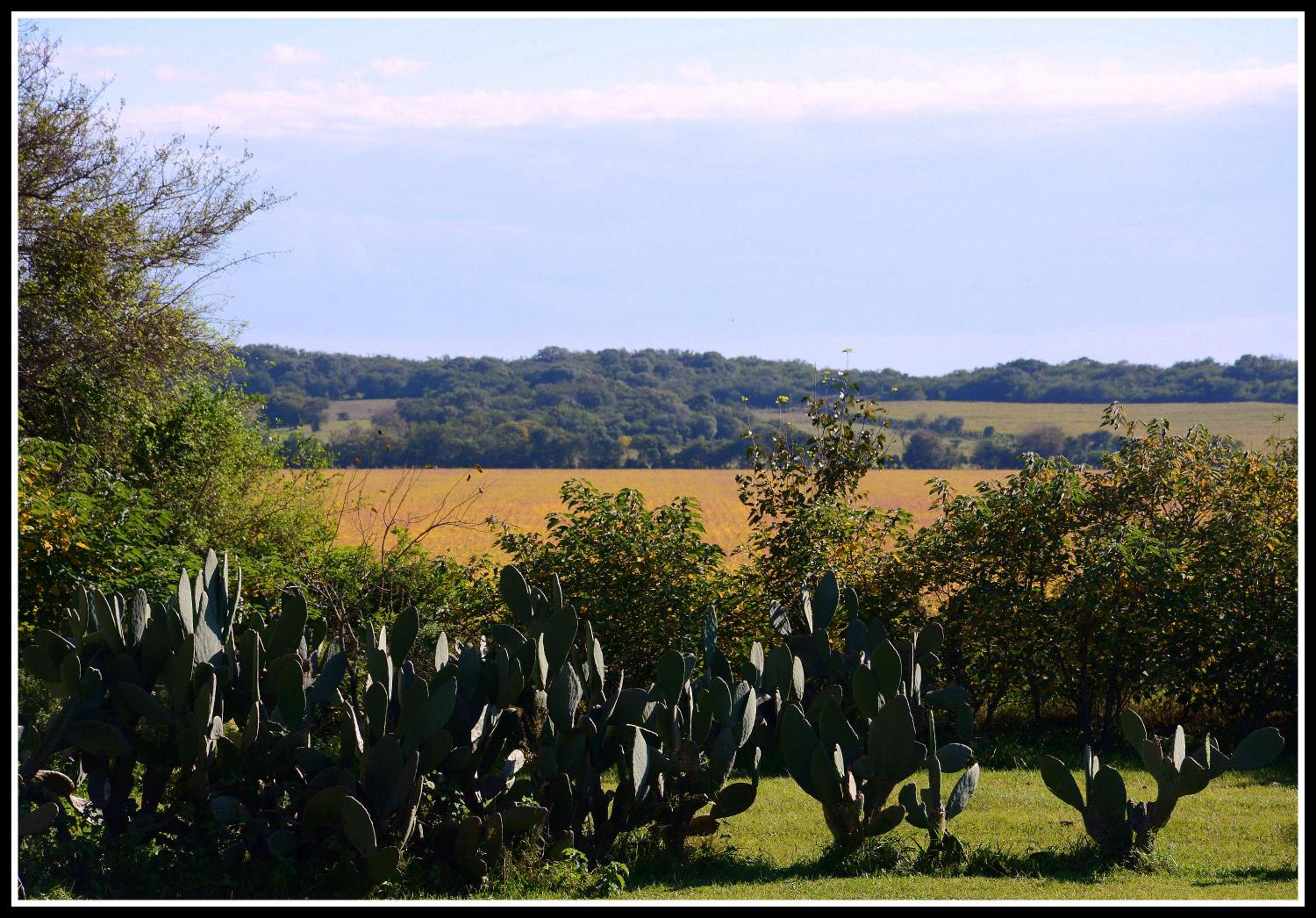 Estancia el Cimarrón