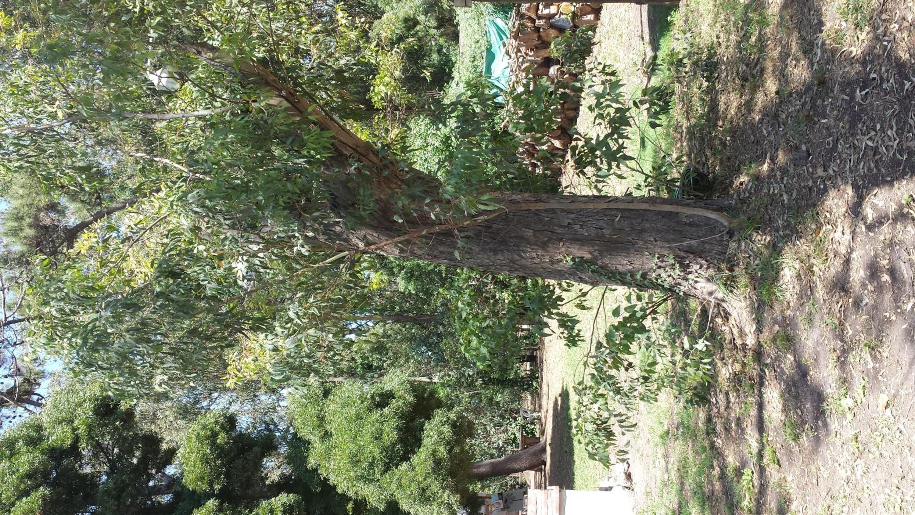 Cabañas El Racó del Bosc
