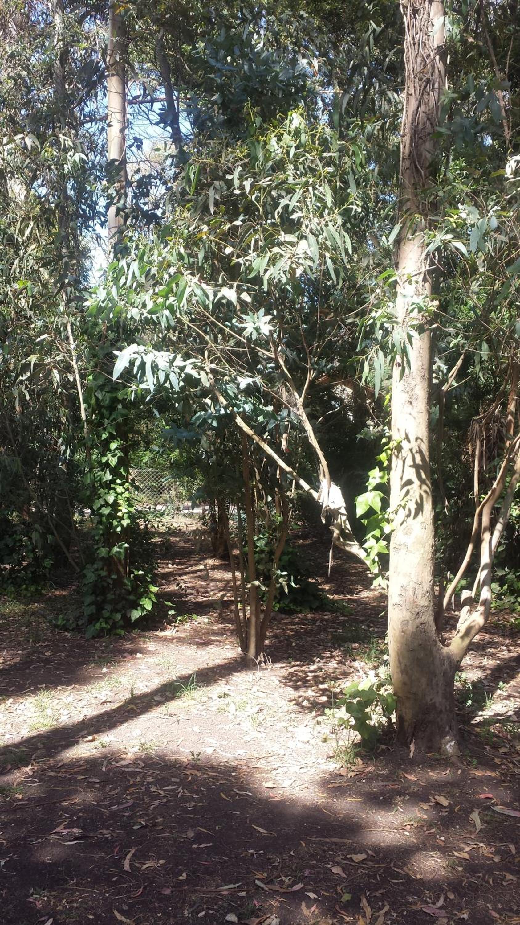 Cabañas El Racó del Bosc