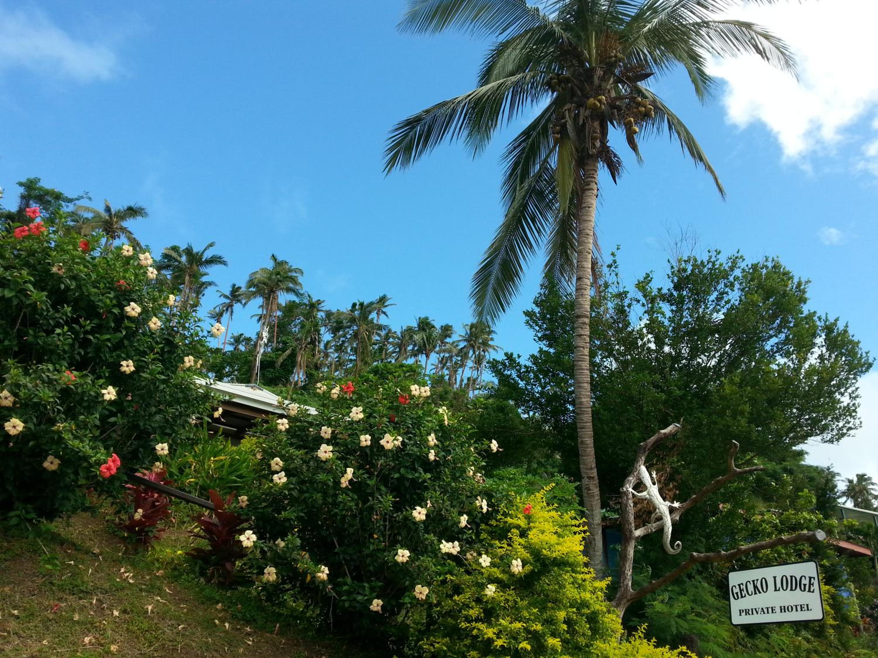 Hotel Gecko Lodge Fiji - Image 1