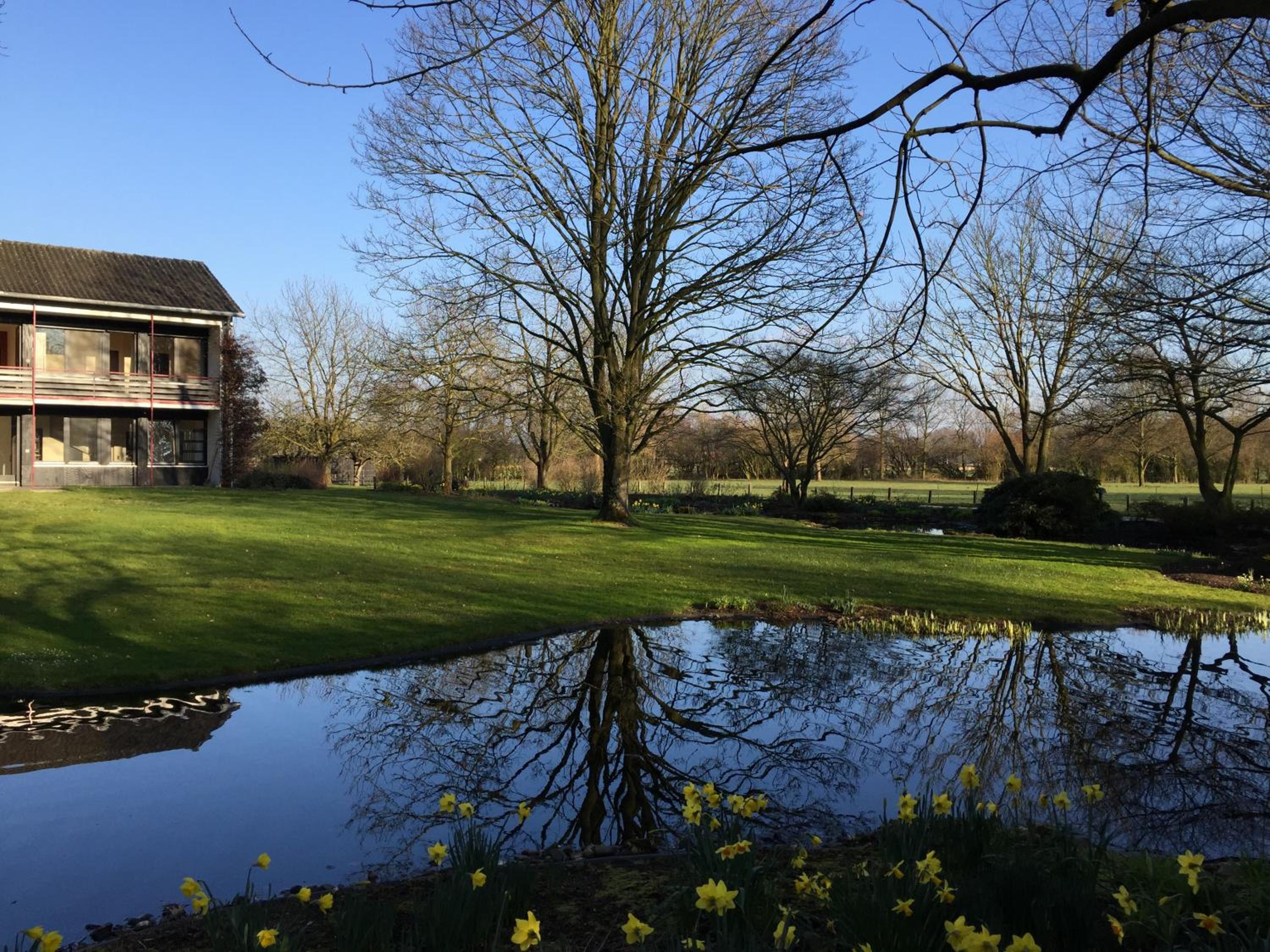 Photo 33