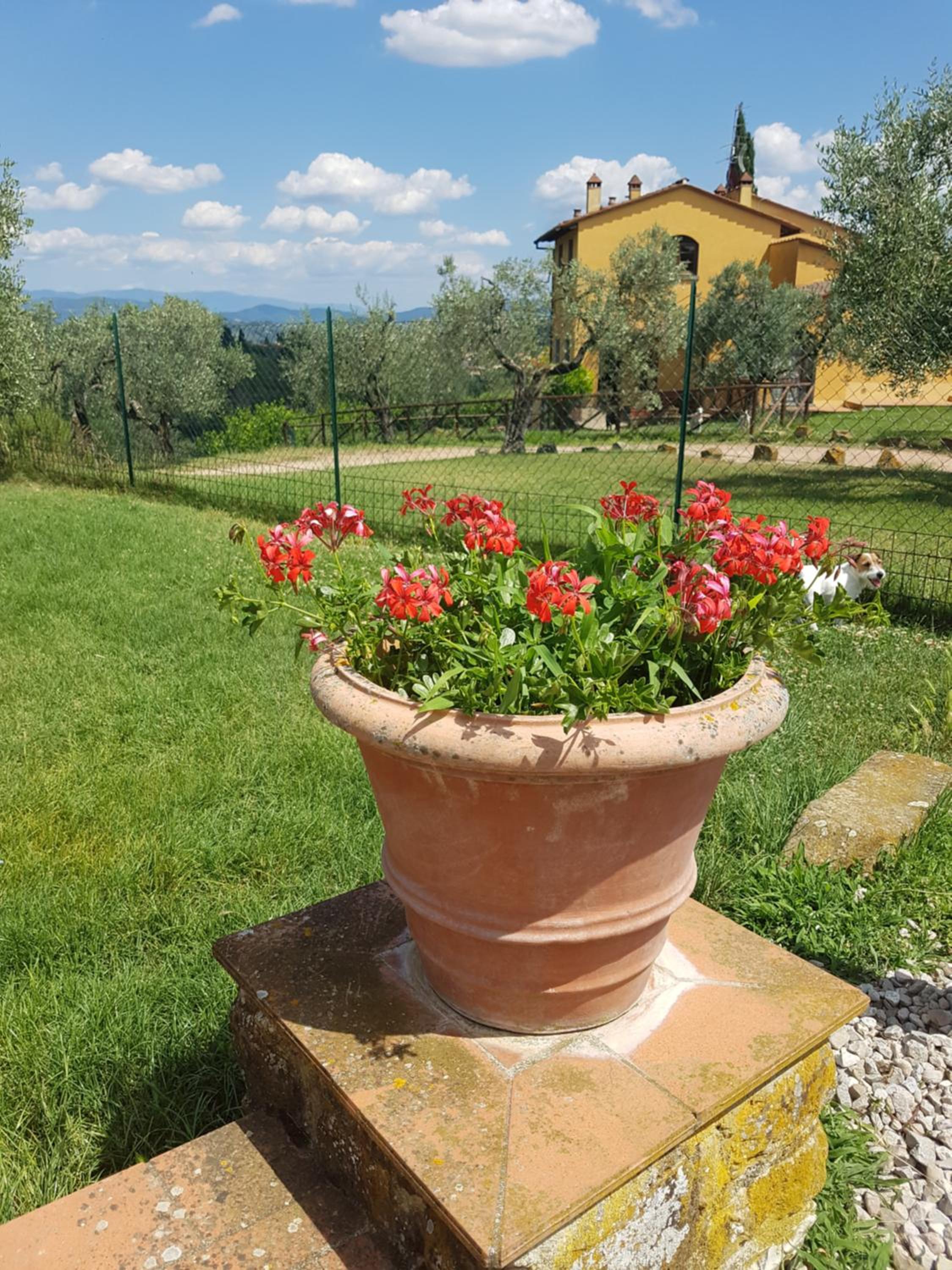 Agriturismo Il Pintello