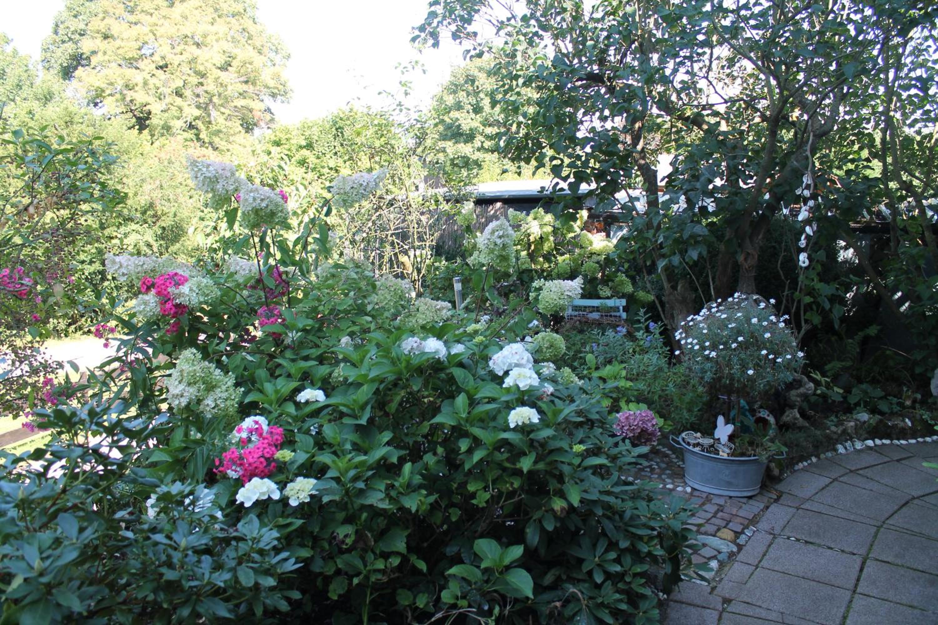 Ferienwohnung Sonnengruss view 2