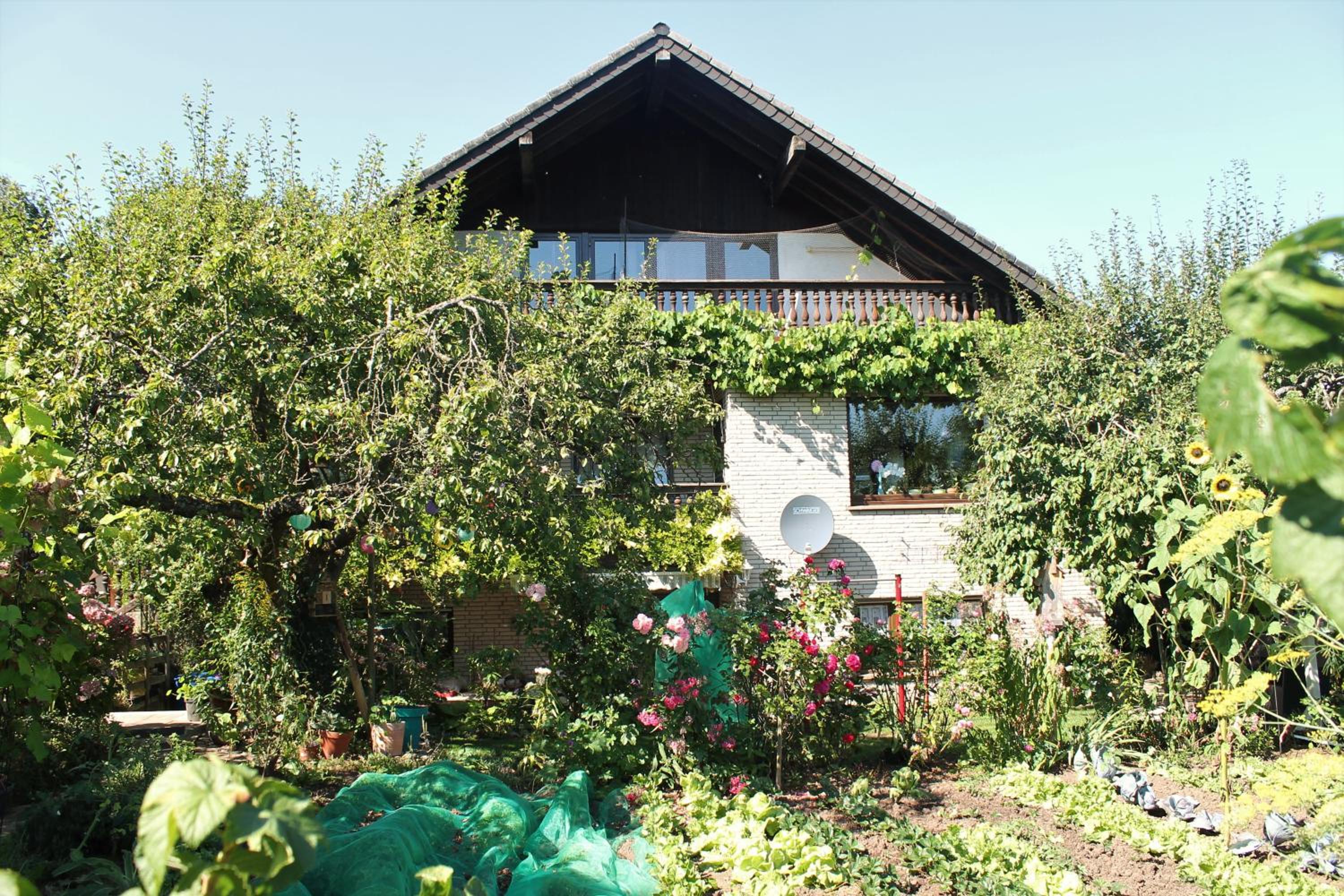 Ferienwohnung Sonnengruss view 3