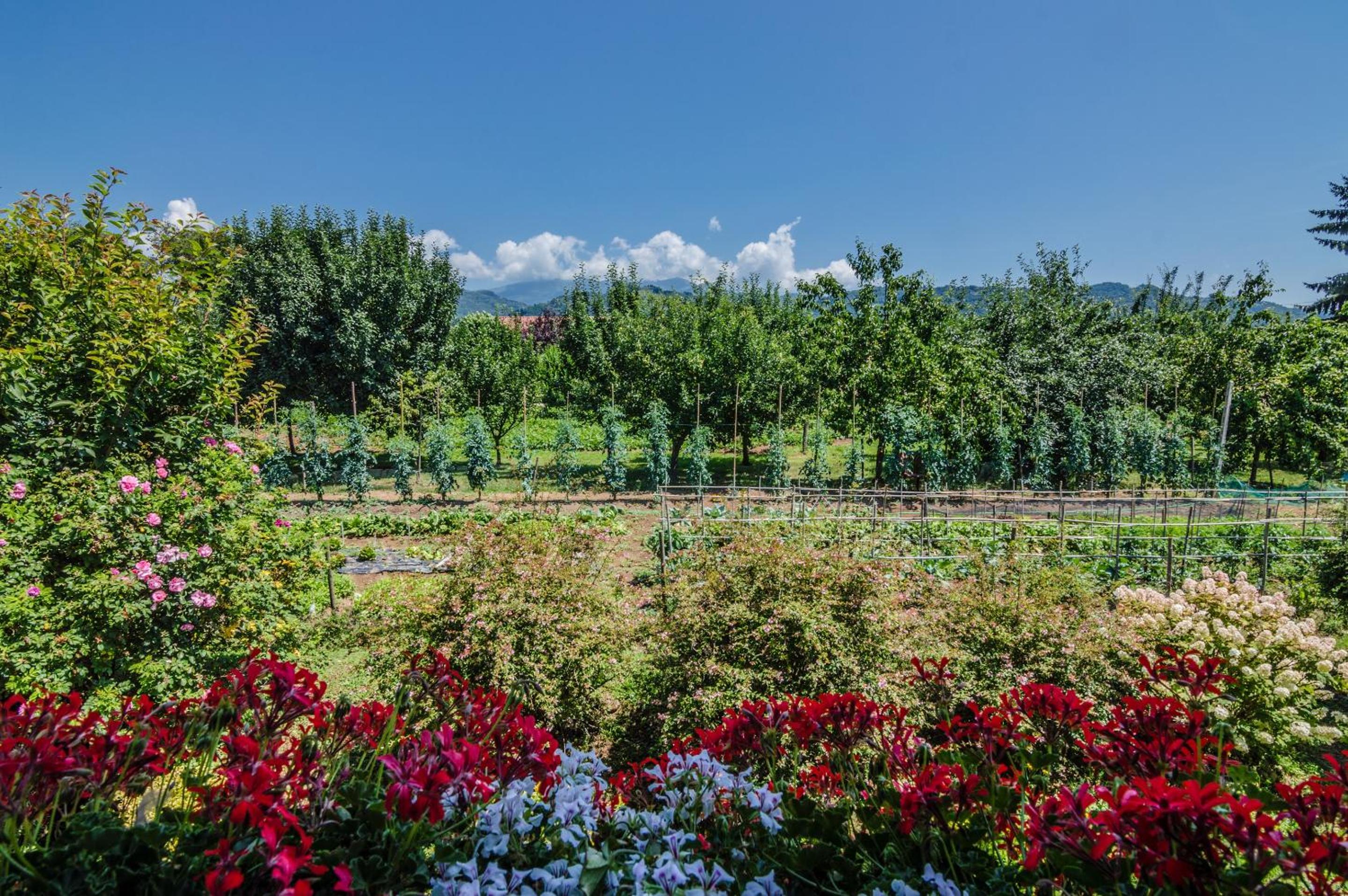 Agriturismo Chioi