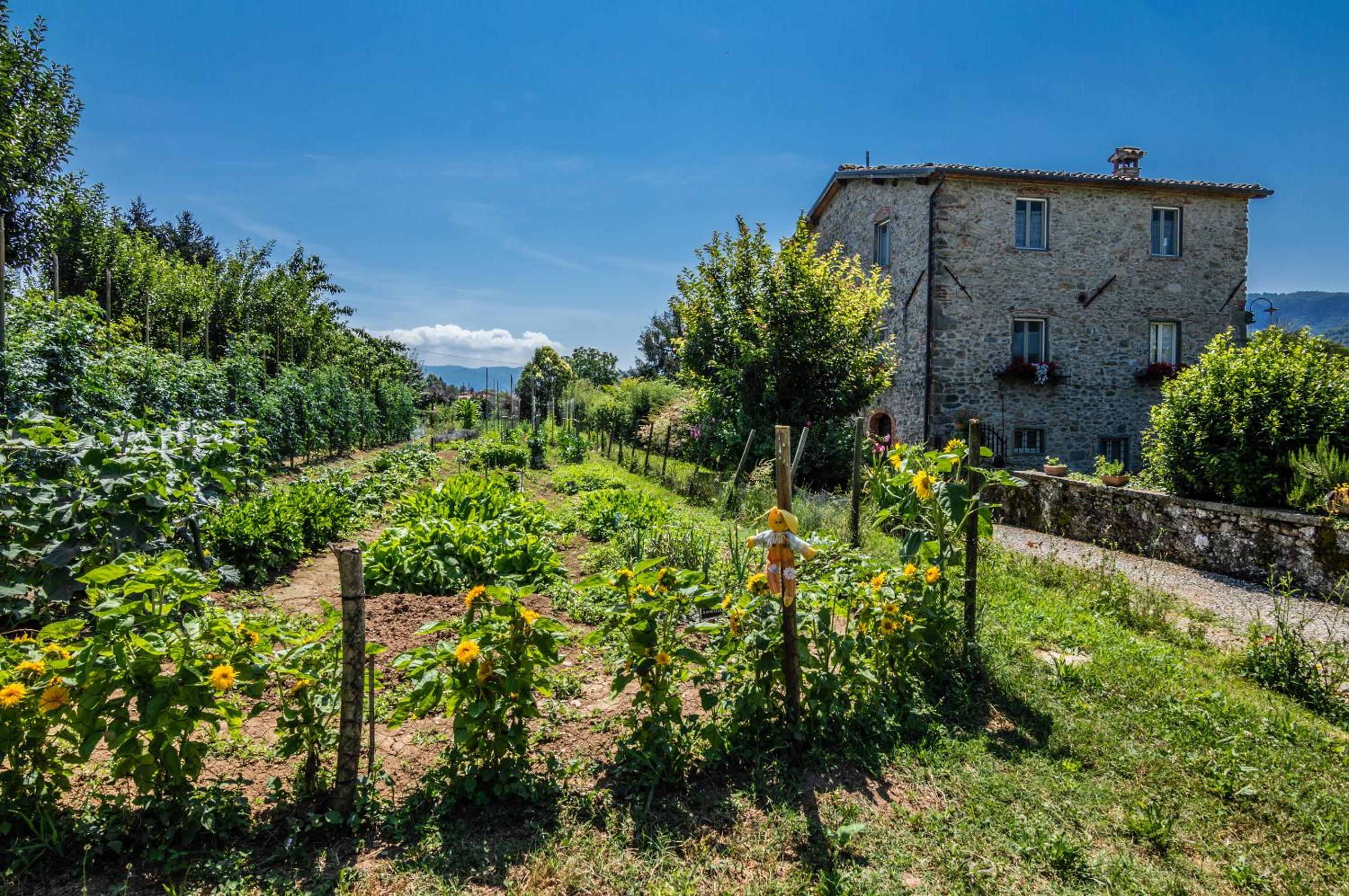 Agriturismo Chioi