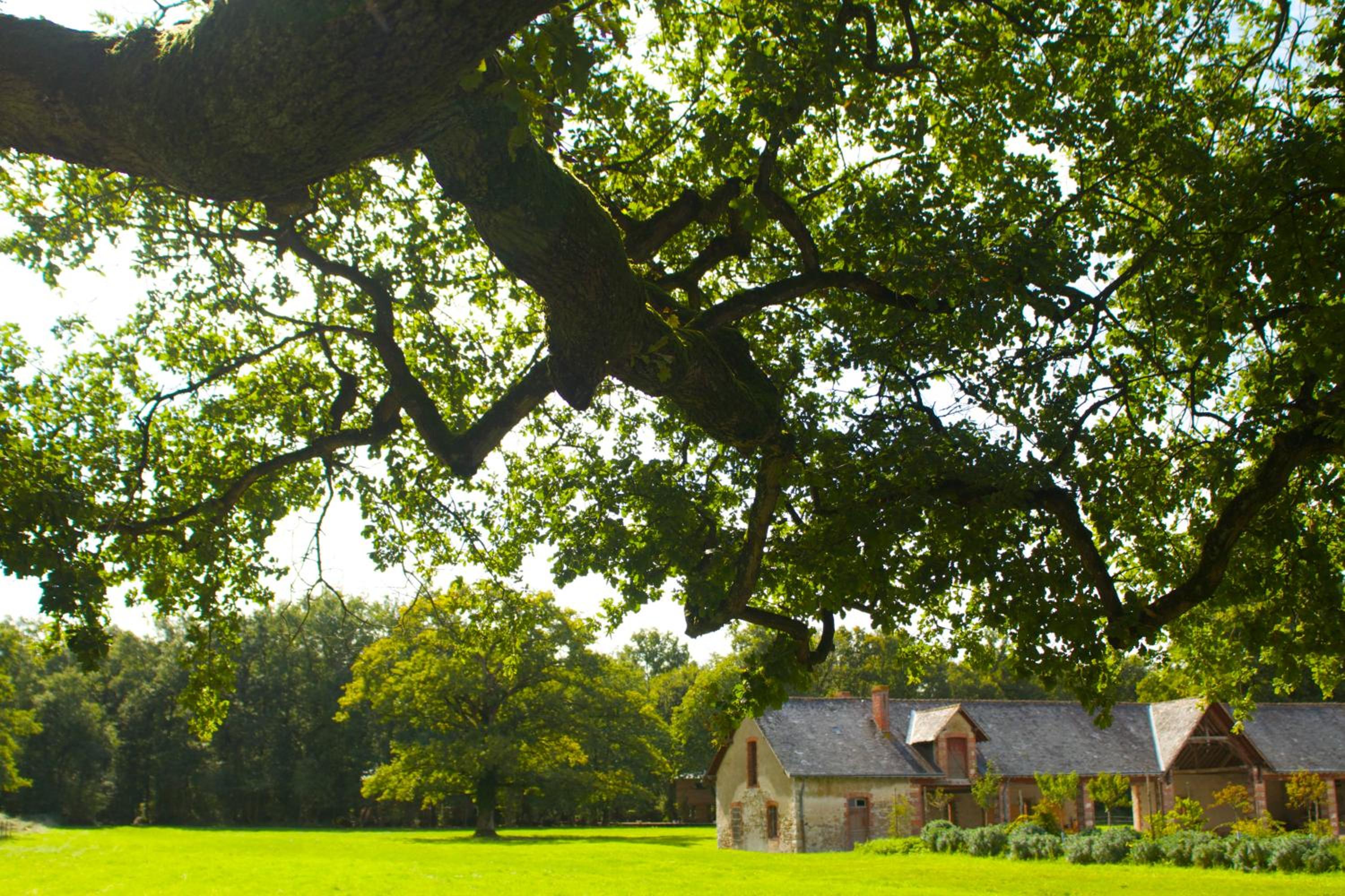Ecolodges de Loire & Spa