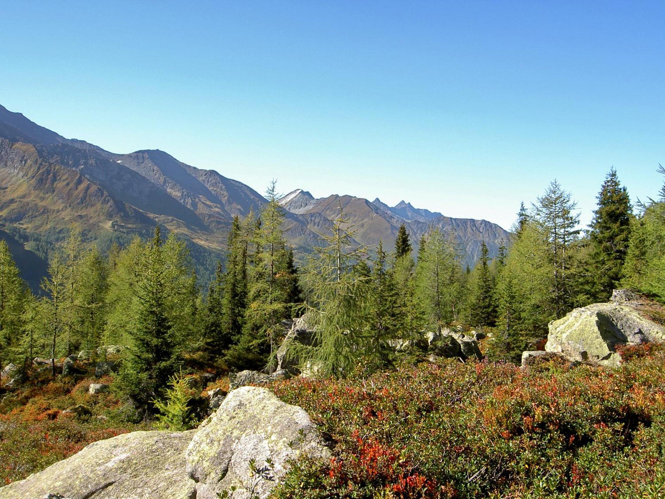 Haus Tirolerland