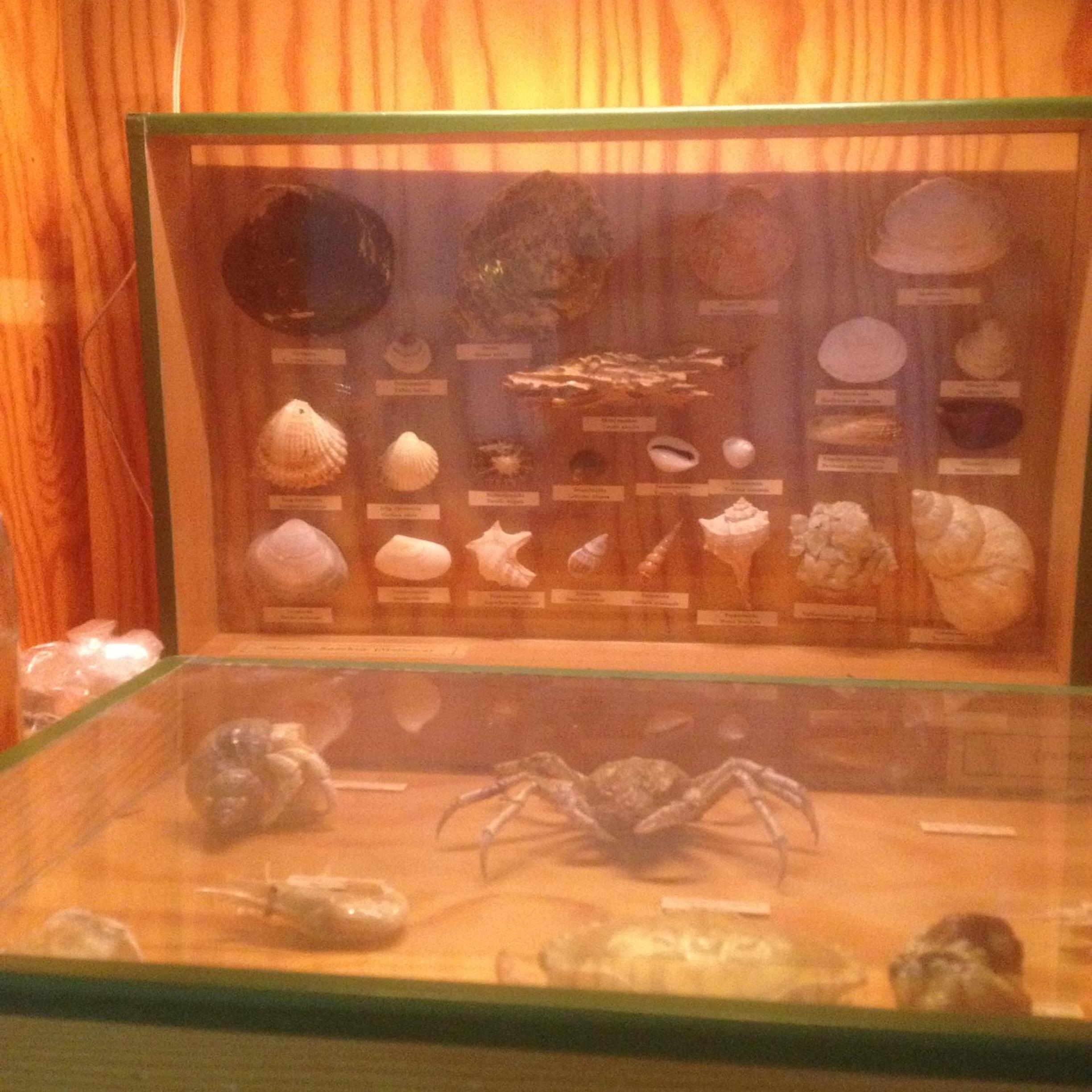 Photo 31