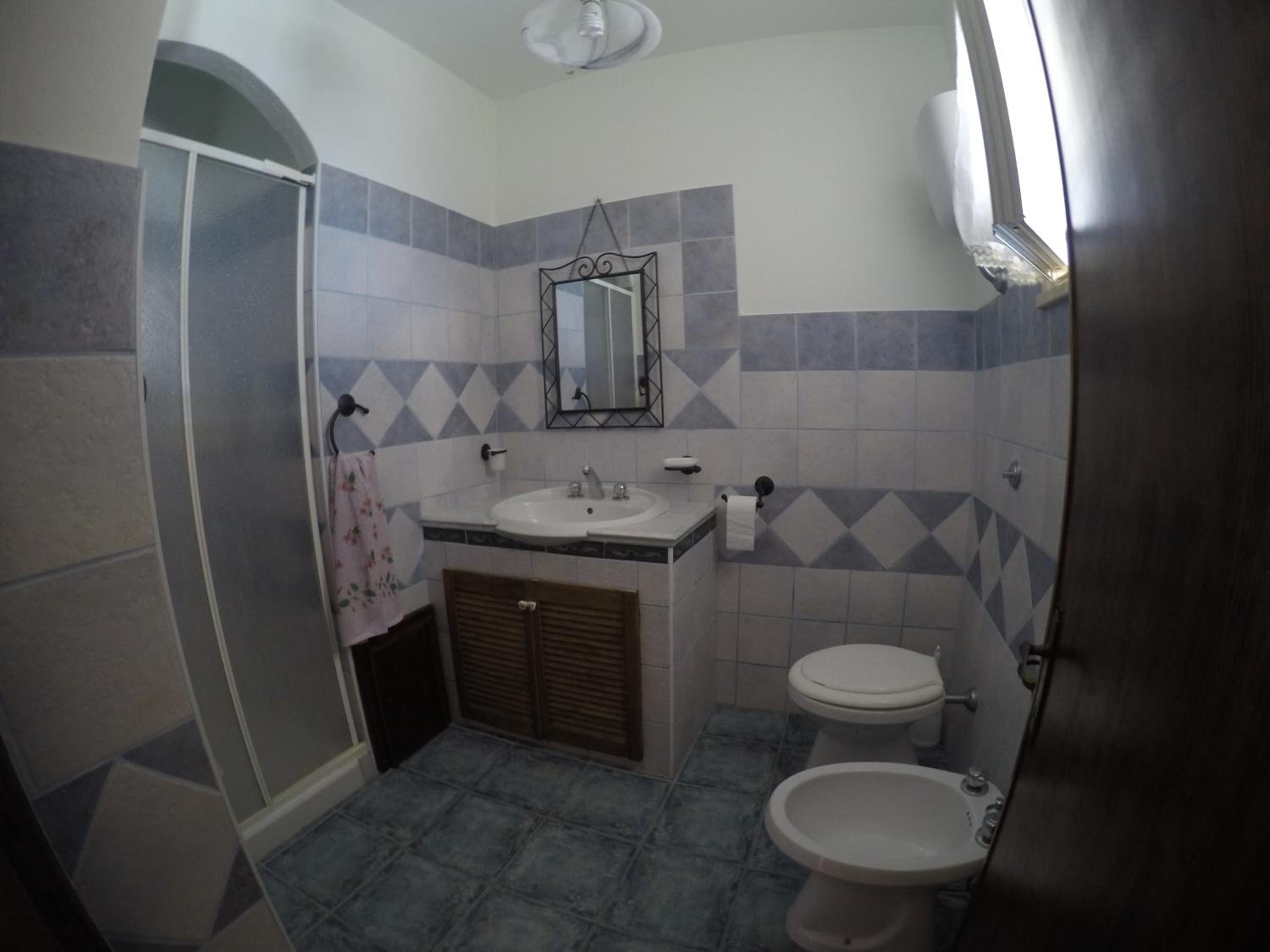 Photo 50