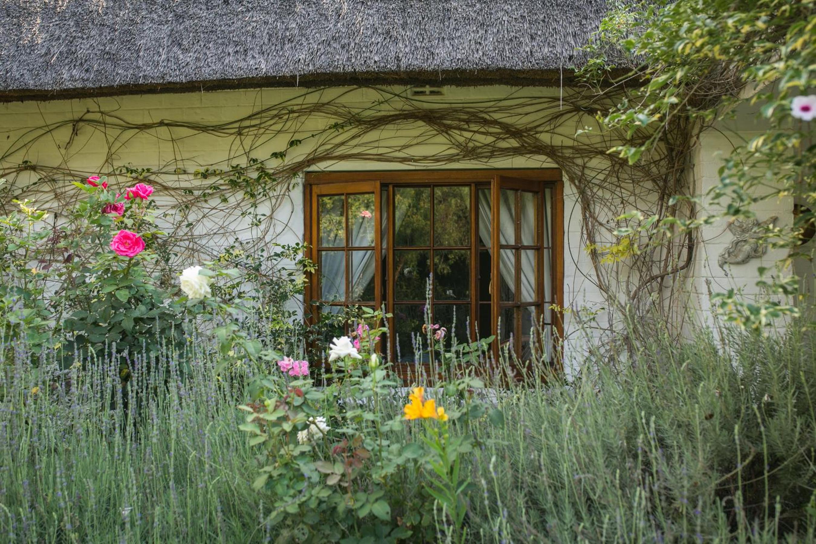 Grace Guest House