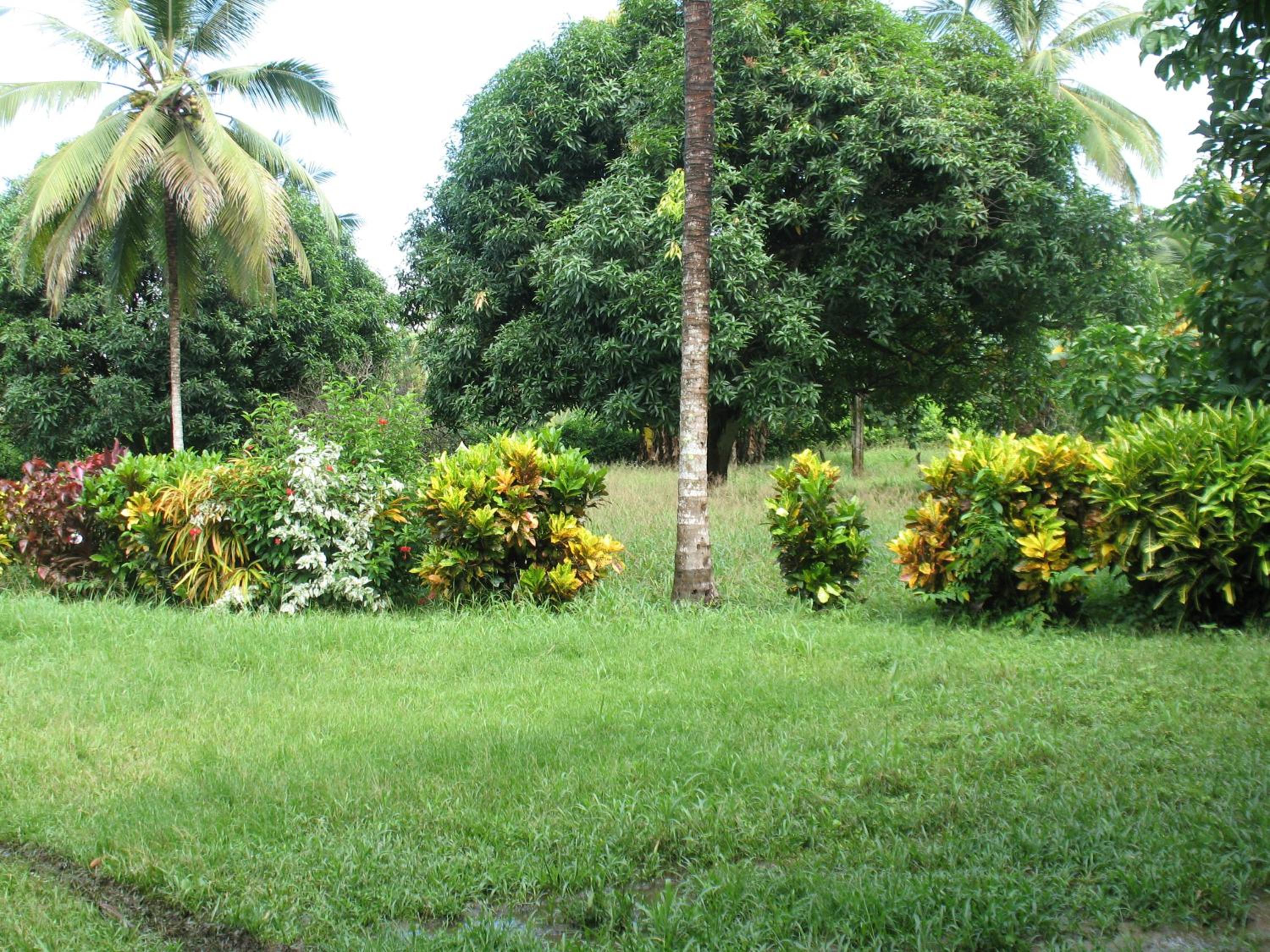 Hospedaje Eden