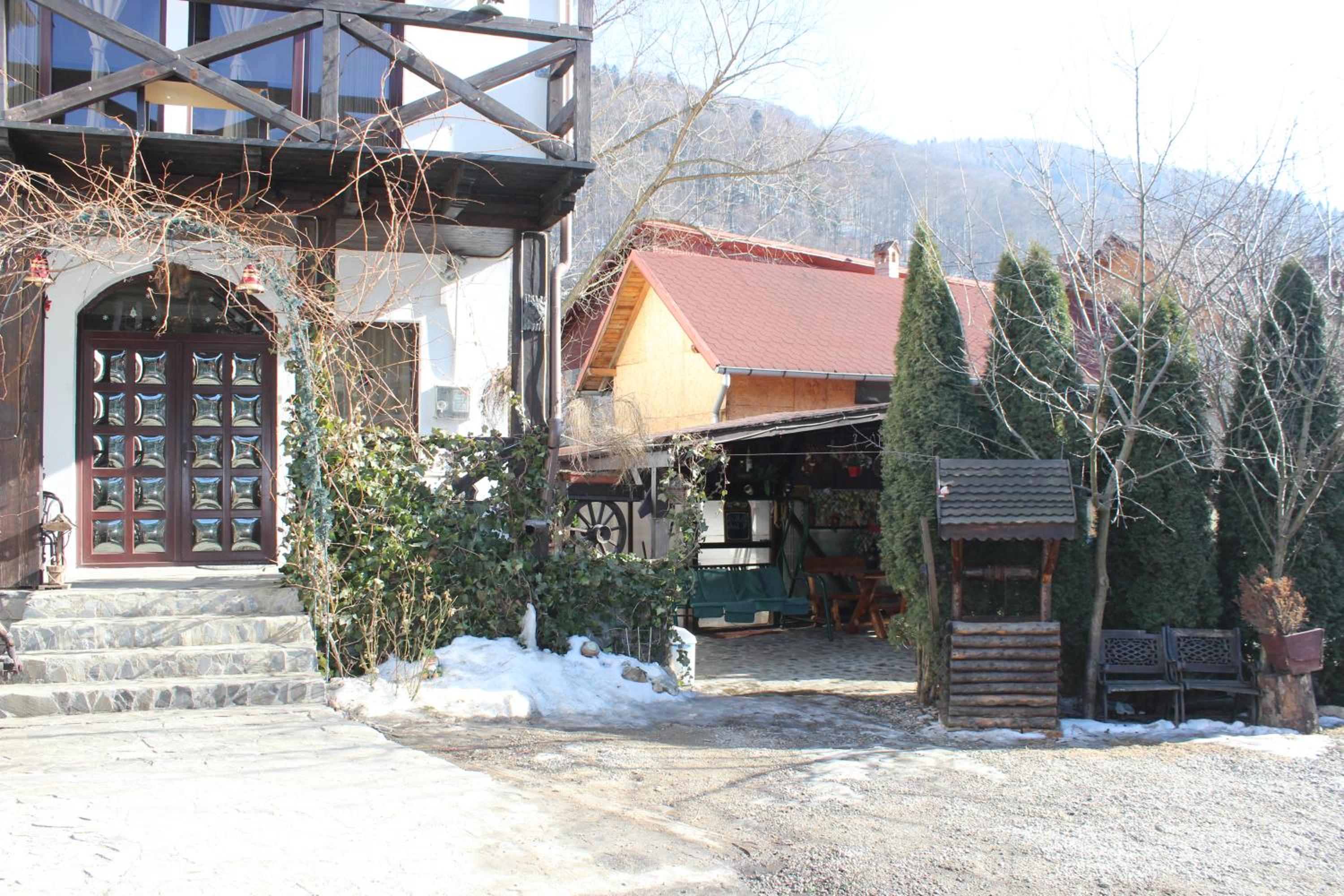 Photo 6