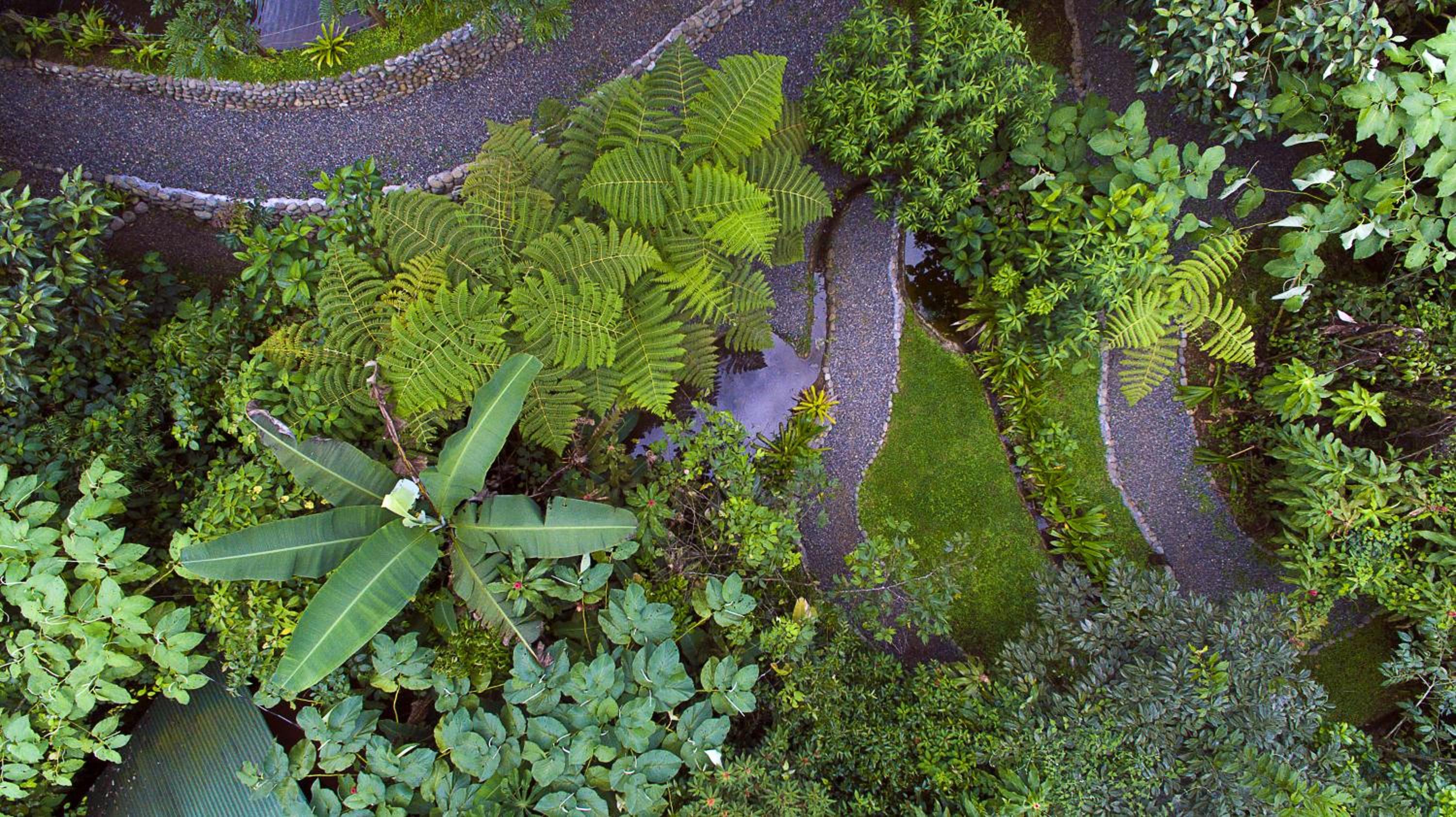 La Tigra Rainforest Lodge
