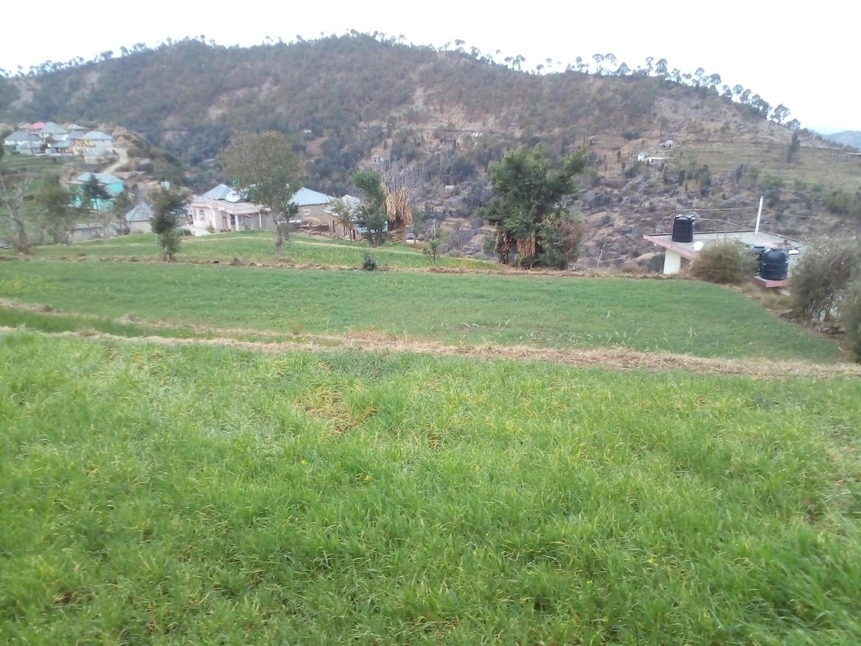 Photo 27