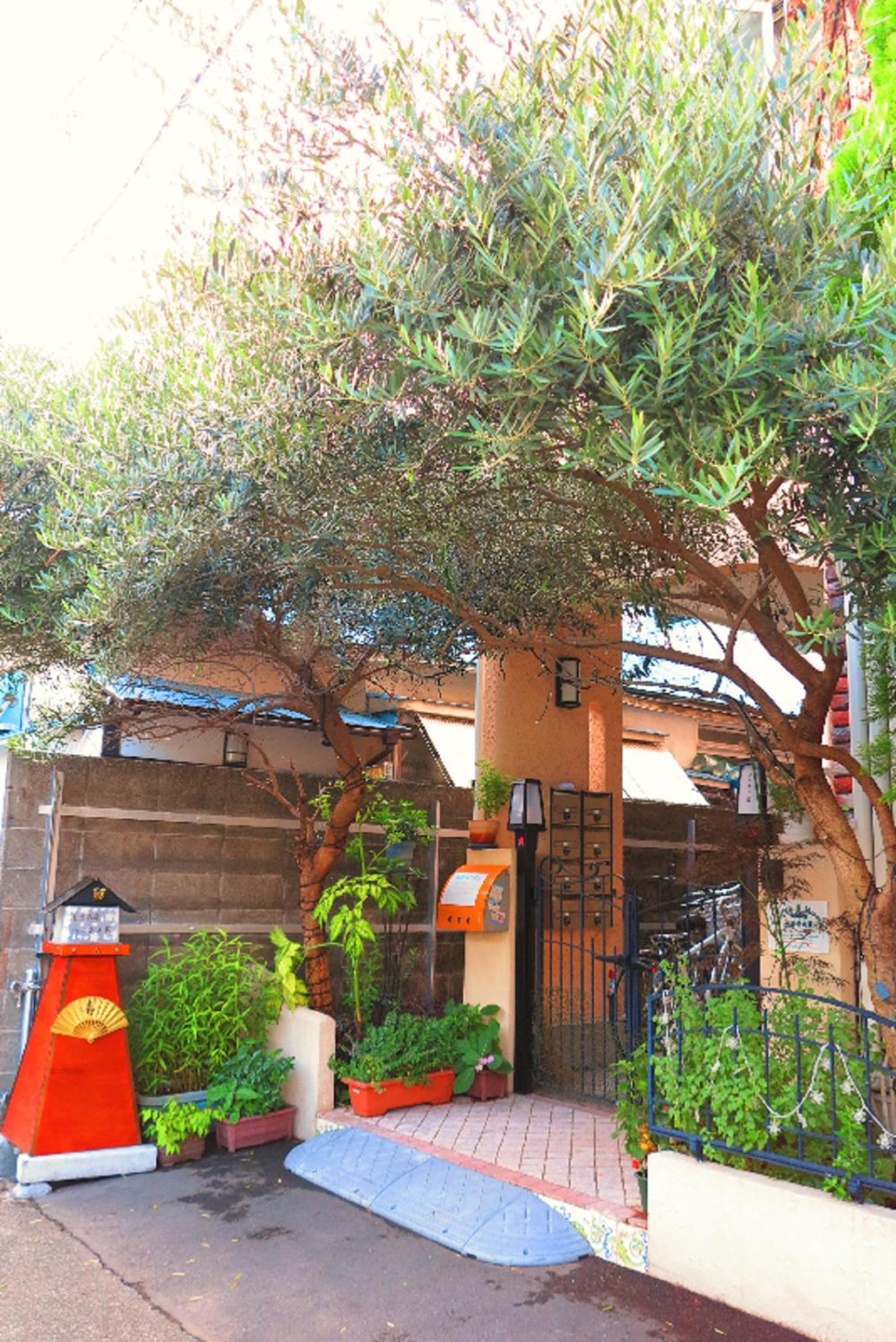 Photo 8