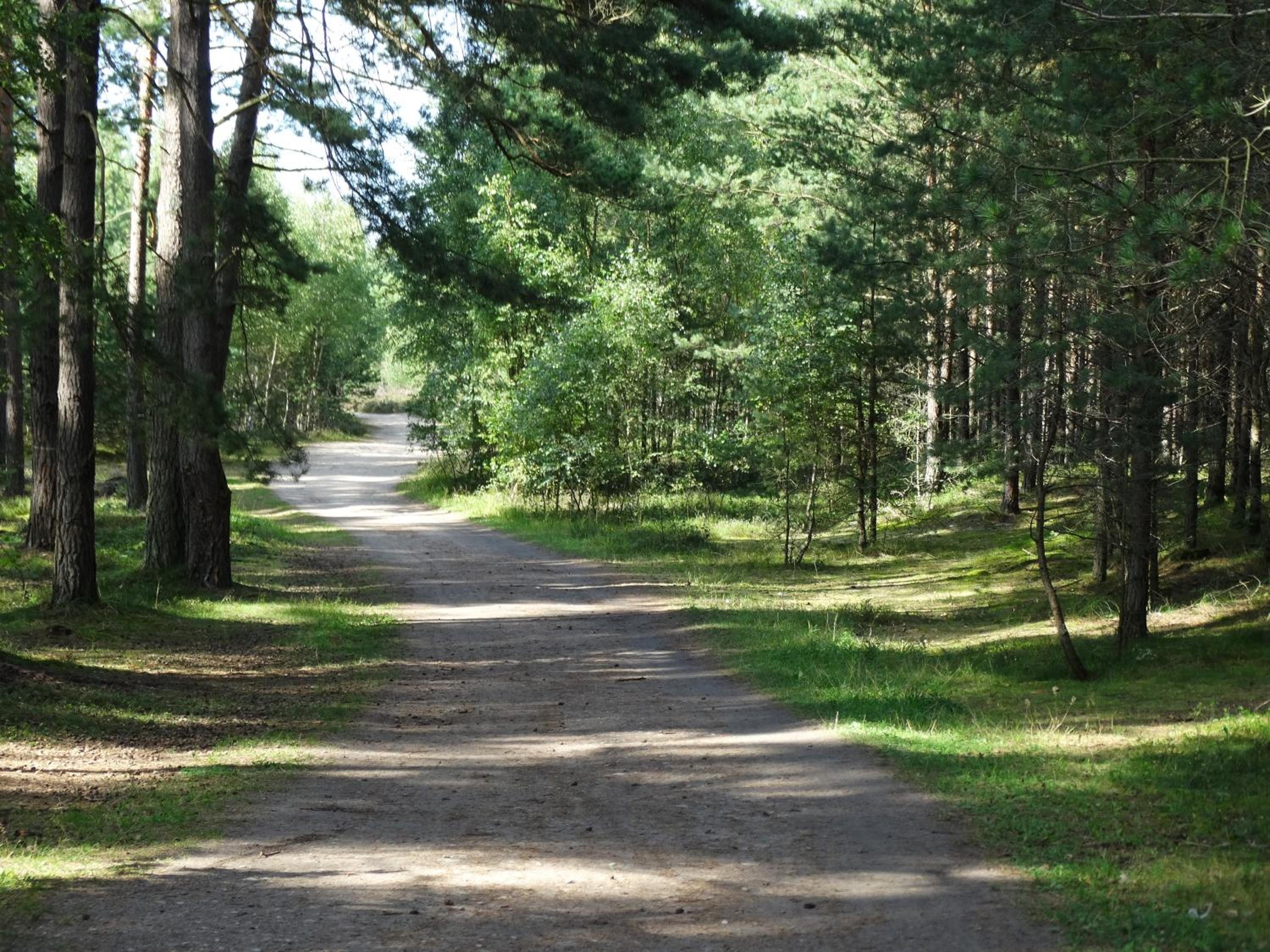 Photo 48