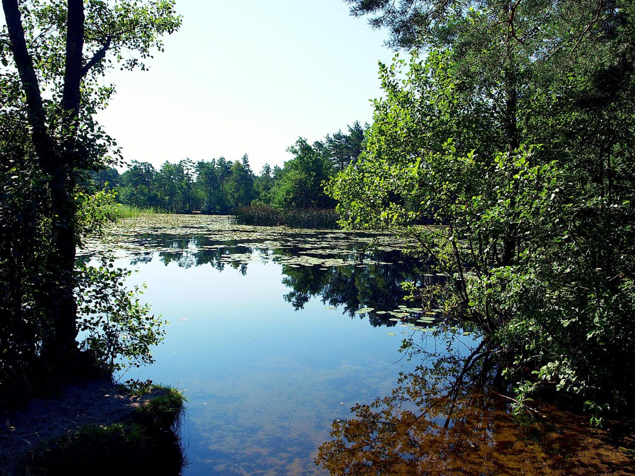 Photo 44