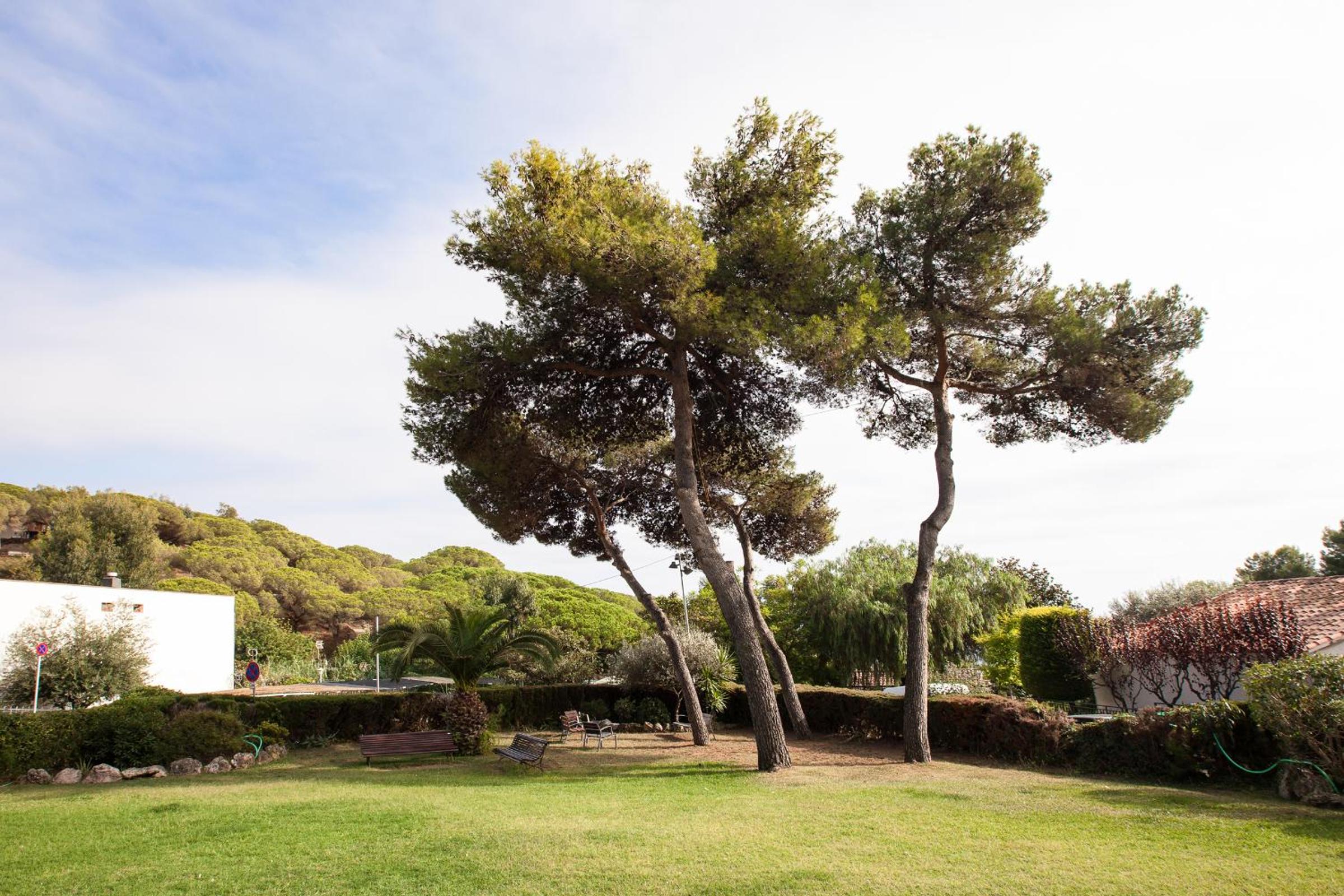 Apartment Beach Front Sant Pol