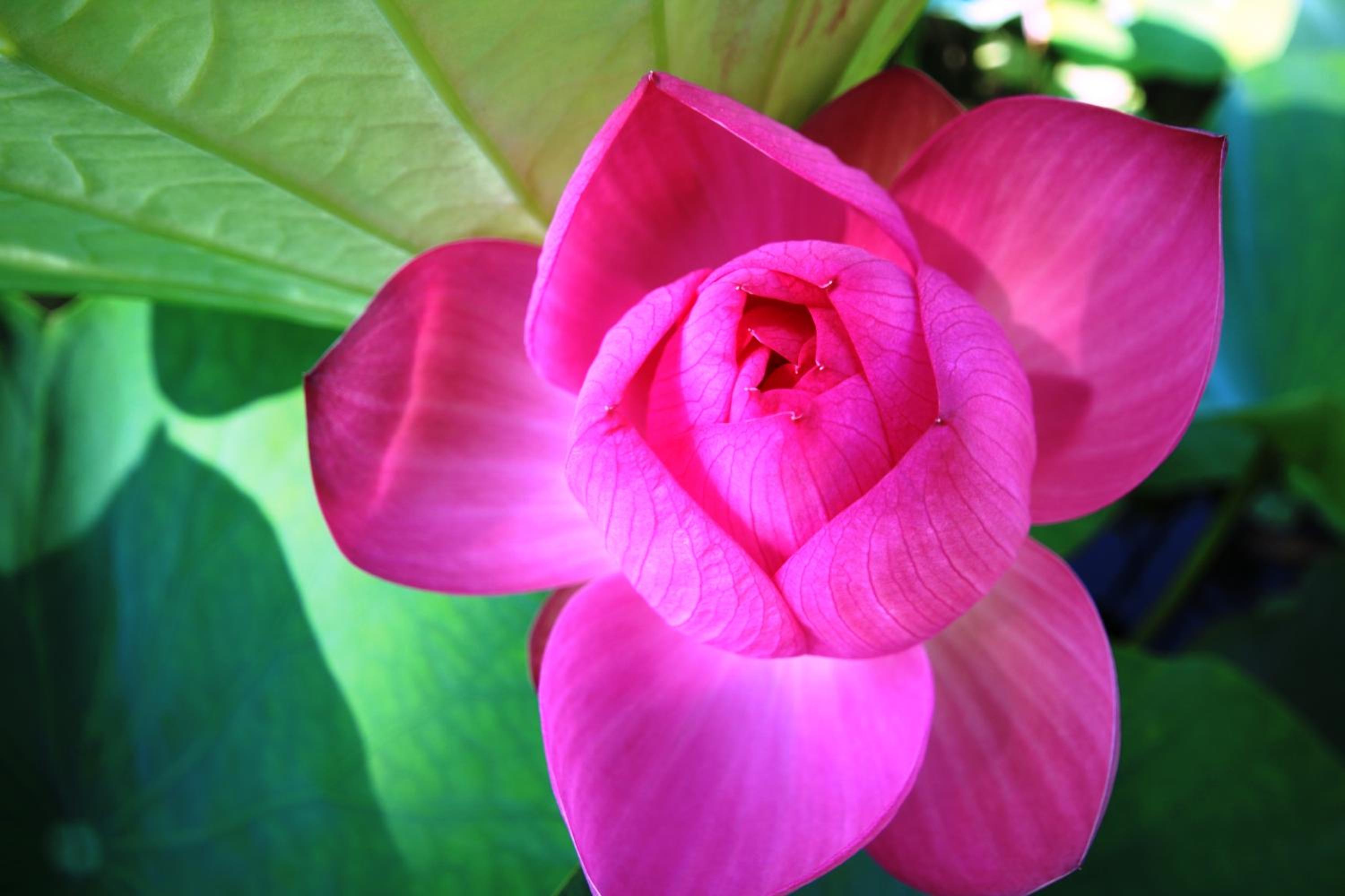 Photo 39