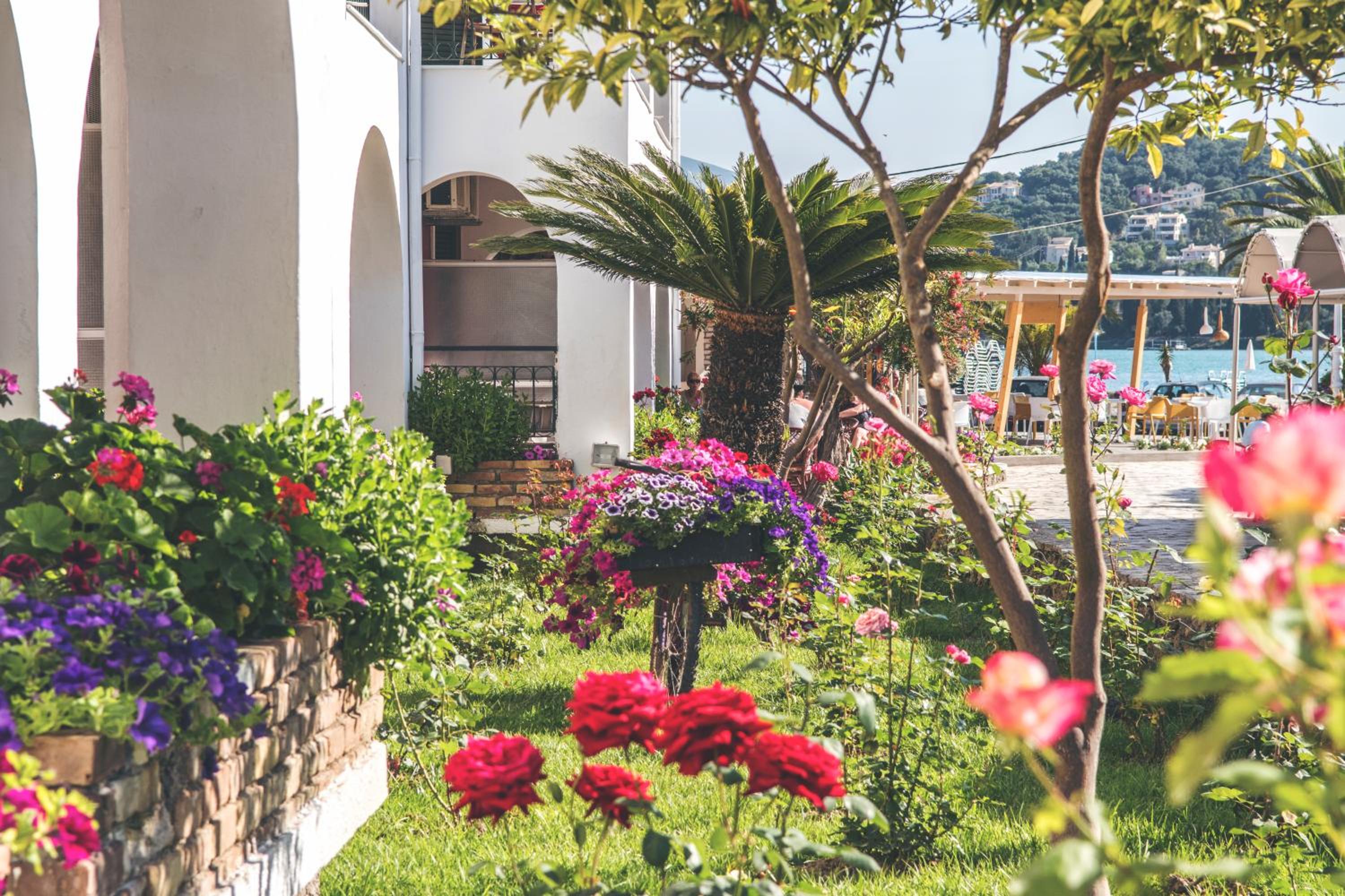 Hotel Iliada Beach Hotel - Image 1