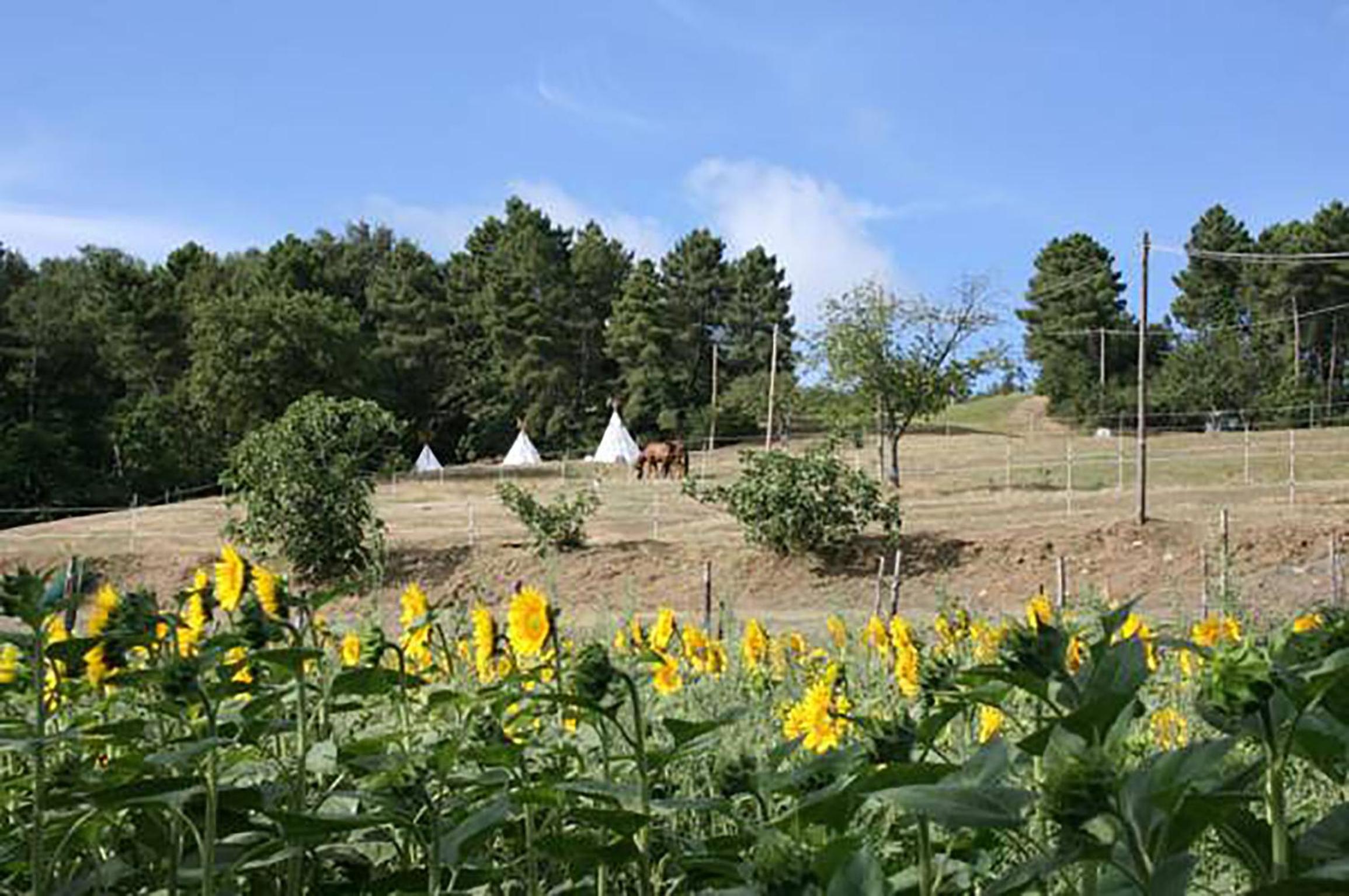 Agriturismo Podere La Fornace