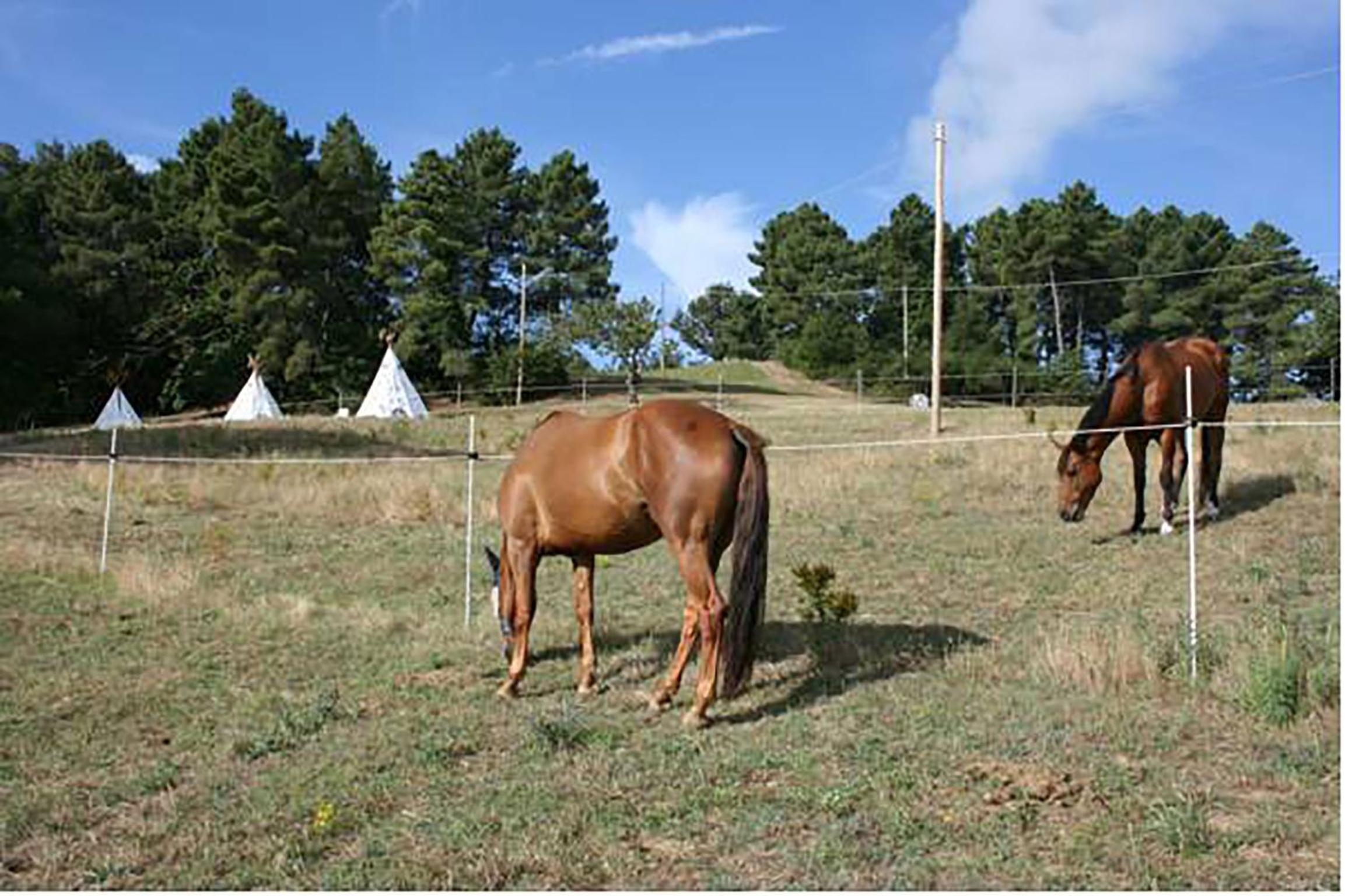 Agriturismo Podere La Fornace