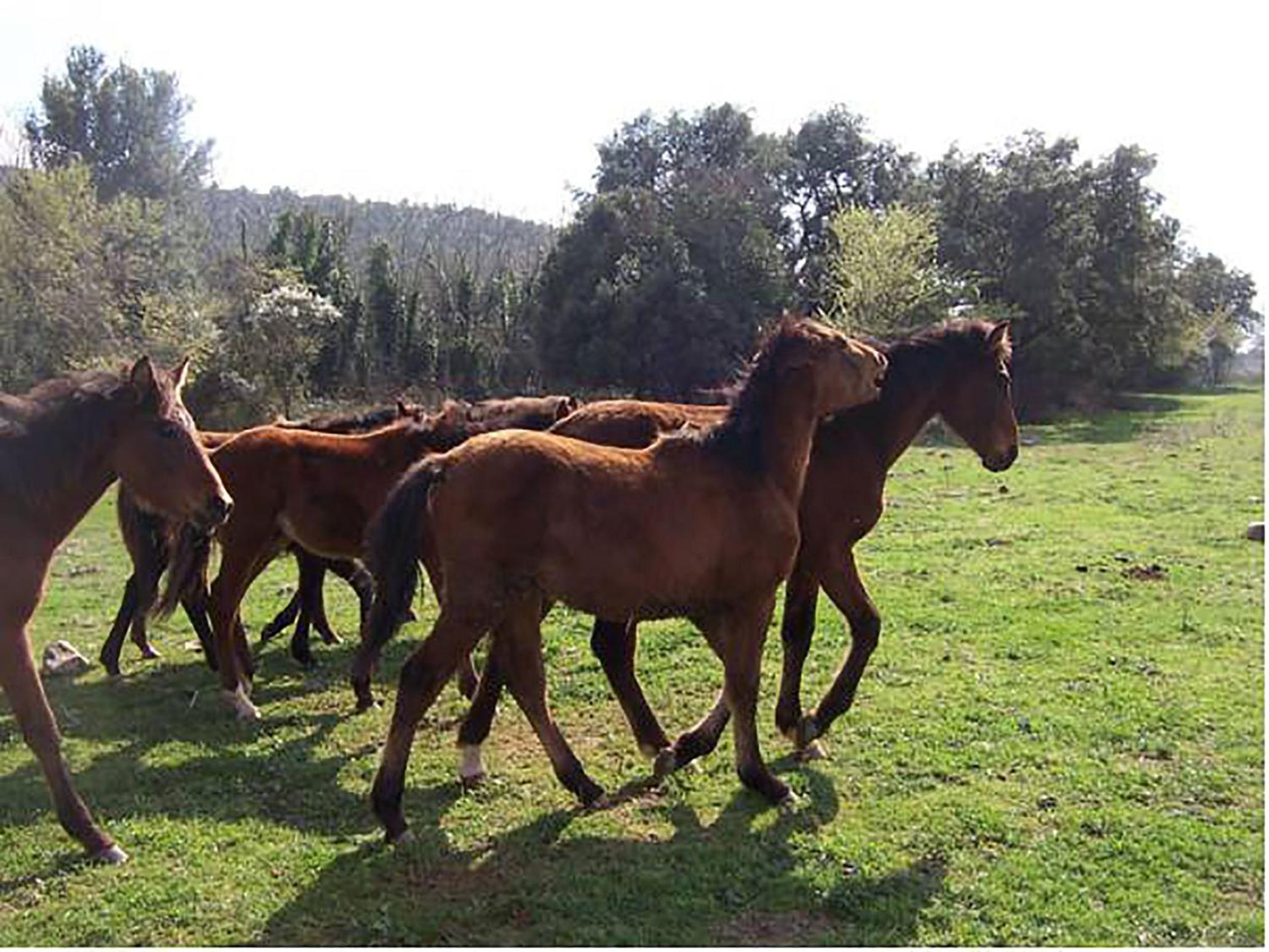 Agriturismo Podere La Fornace