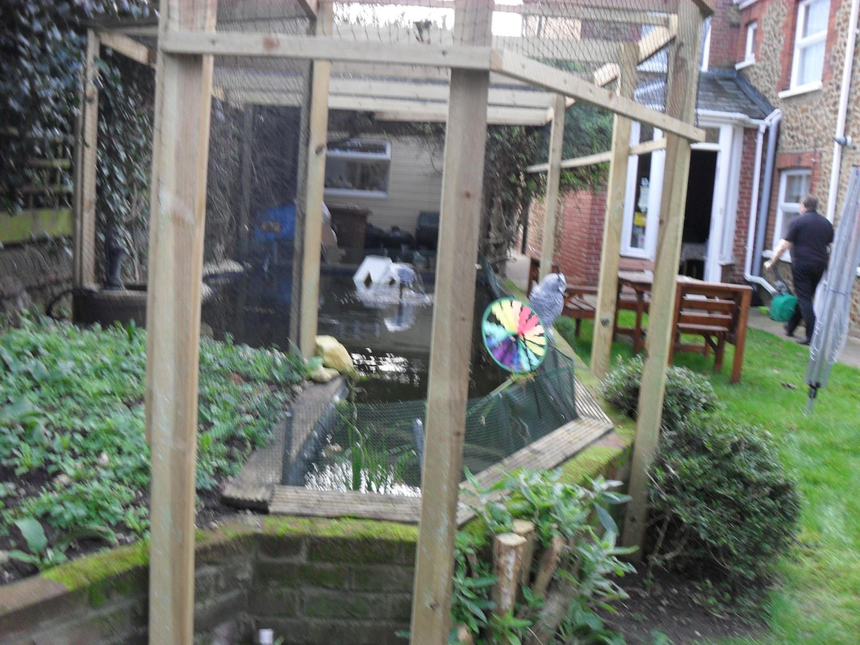 Photo 14