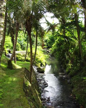 The Bali Purnati Center For The Arts