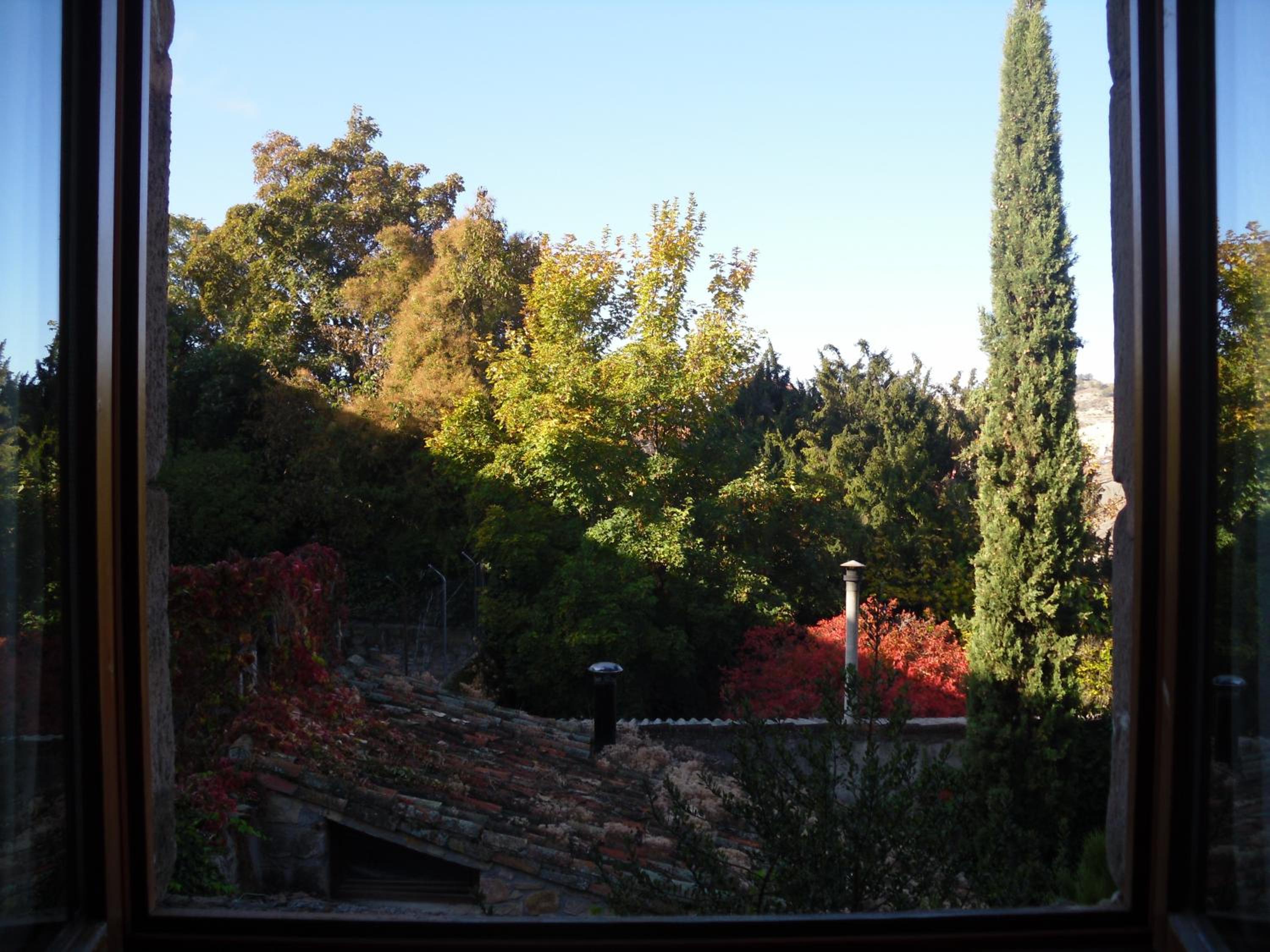 Photo 33