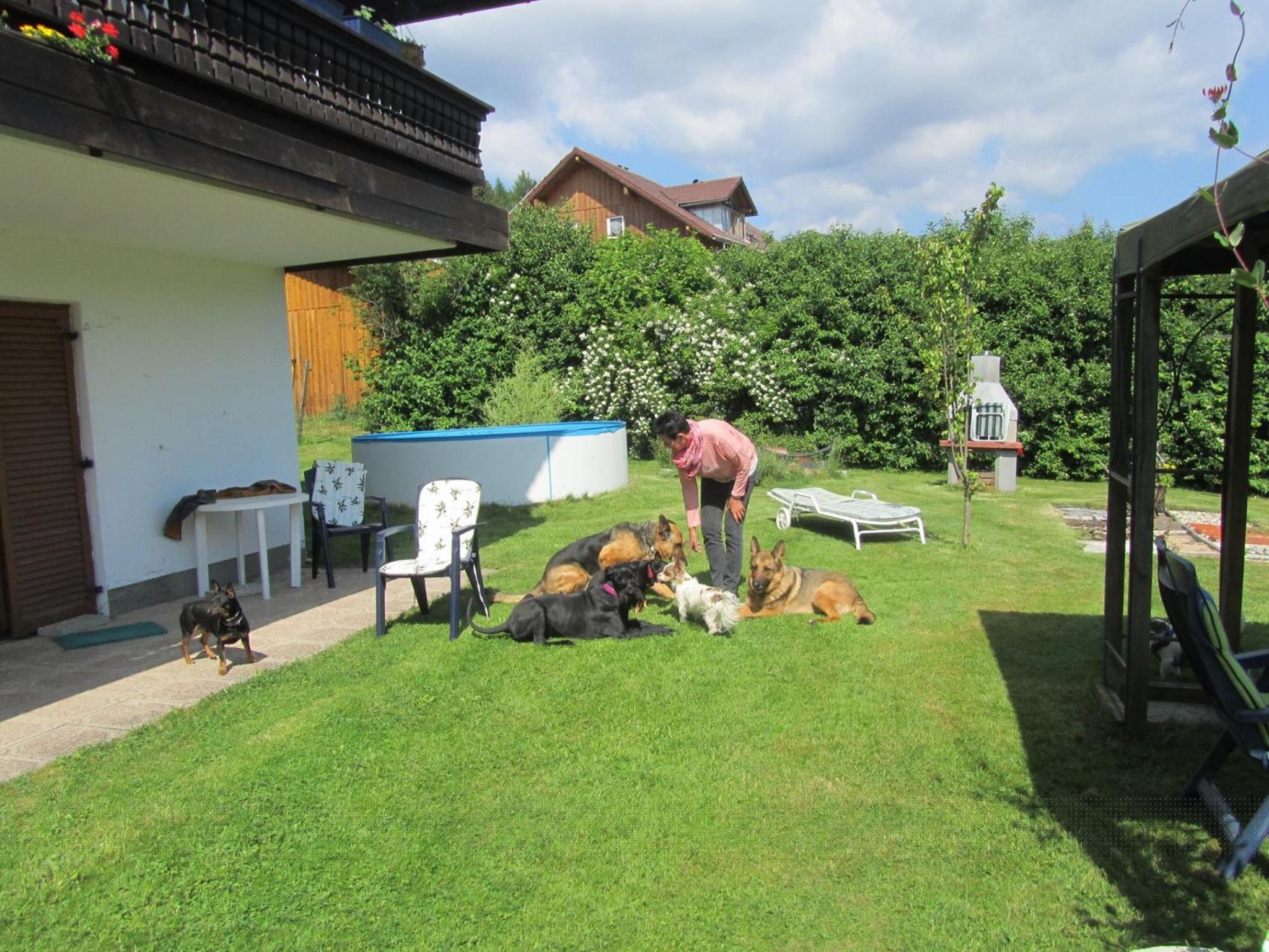 Pension Sonnleit´n - Urlaub mit Hund view 4