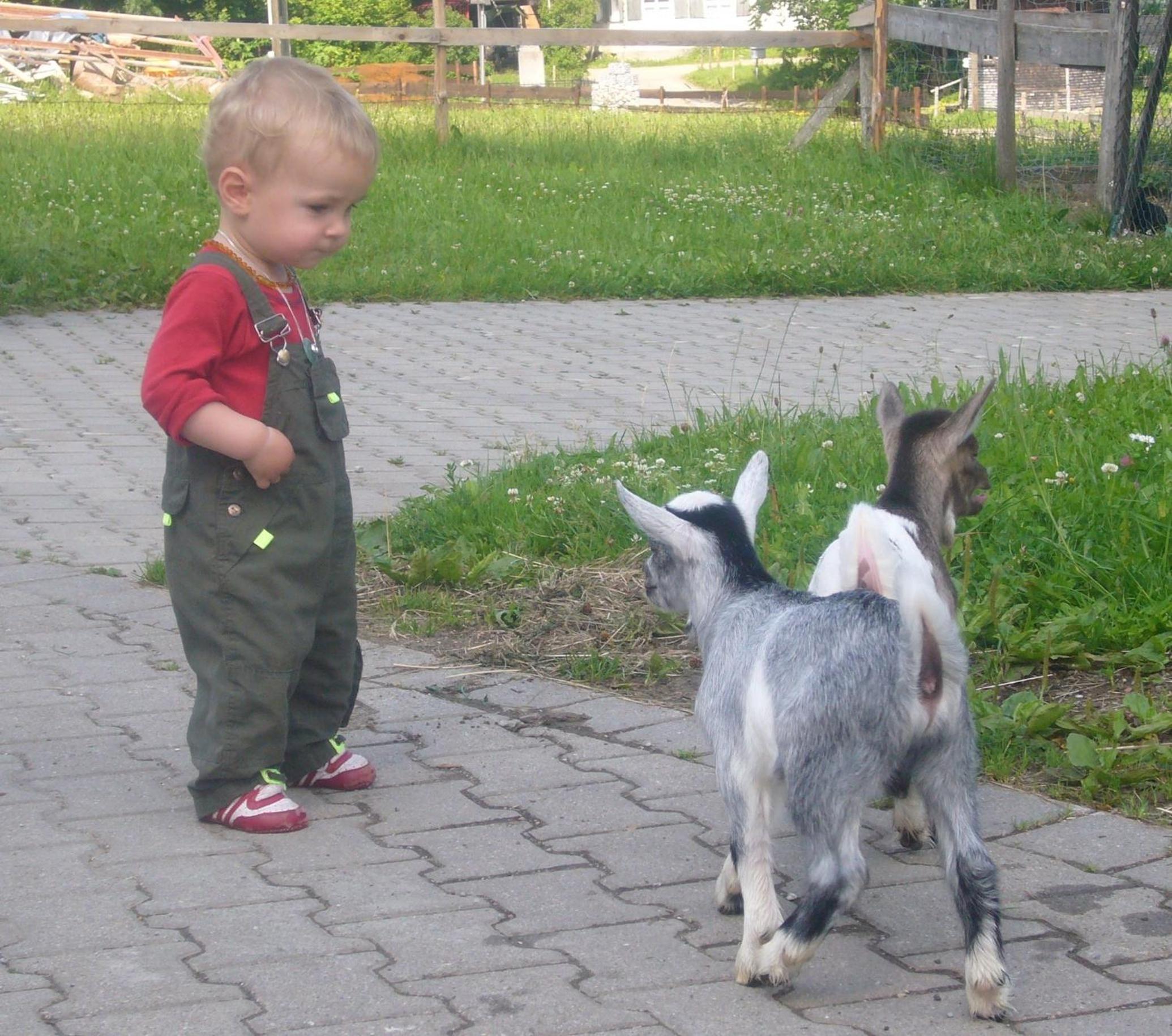 Photo 47